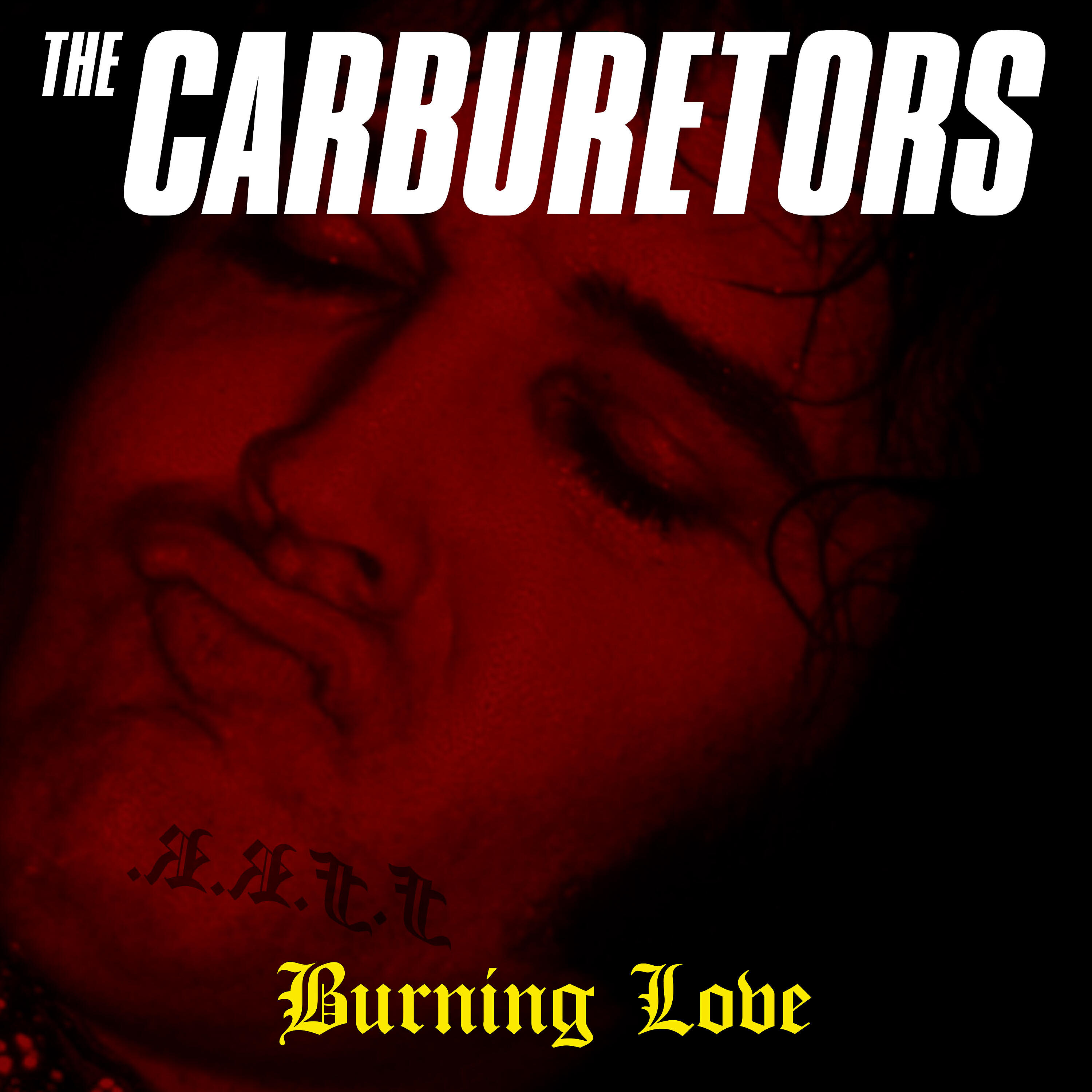 Постер альбома Burning Love