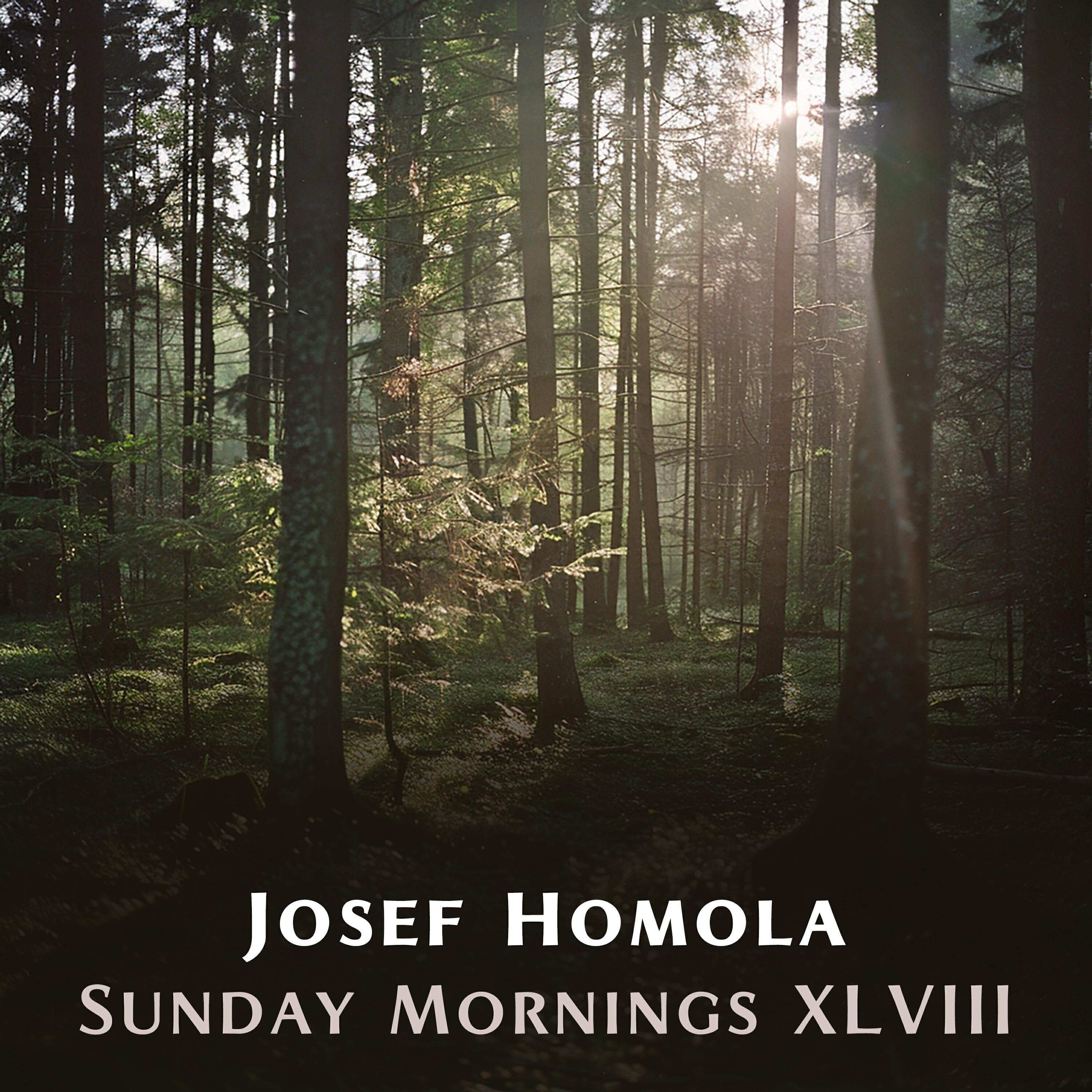 Релиз Sunday Mornings XLVIII