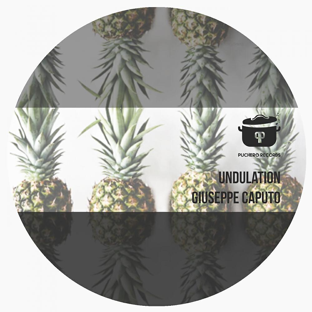 Релиз Undulation