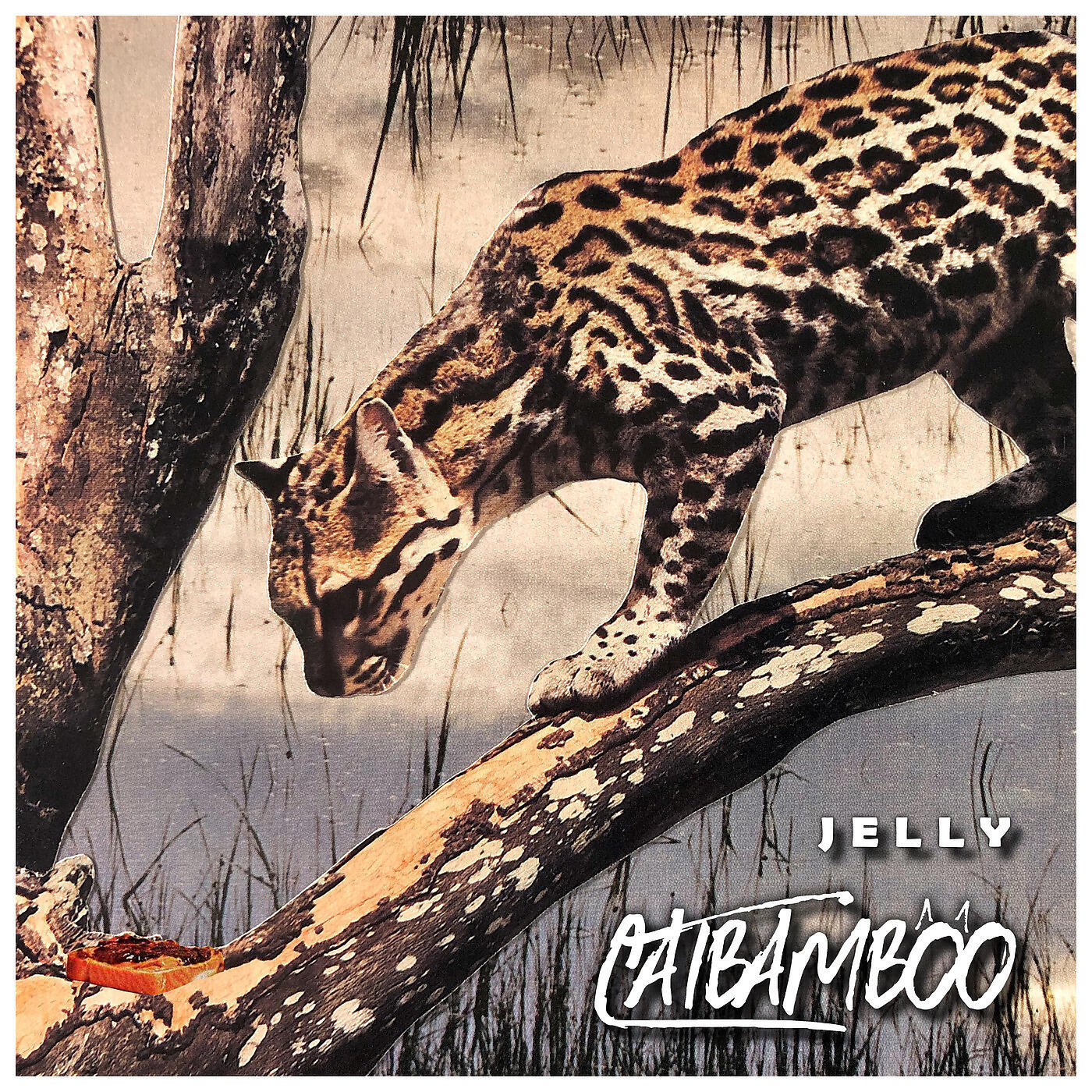 Релиз Jelly