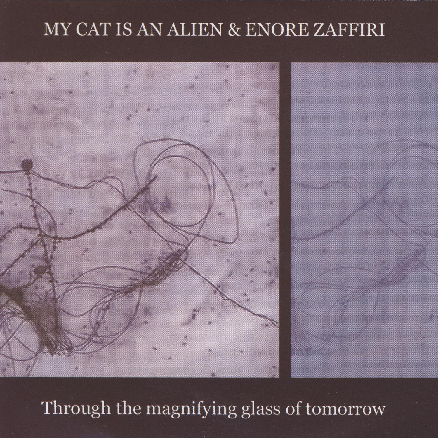 Релиз Through The Magnifying Glass Of Tomorrow
