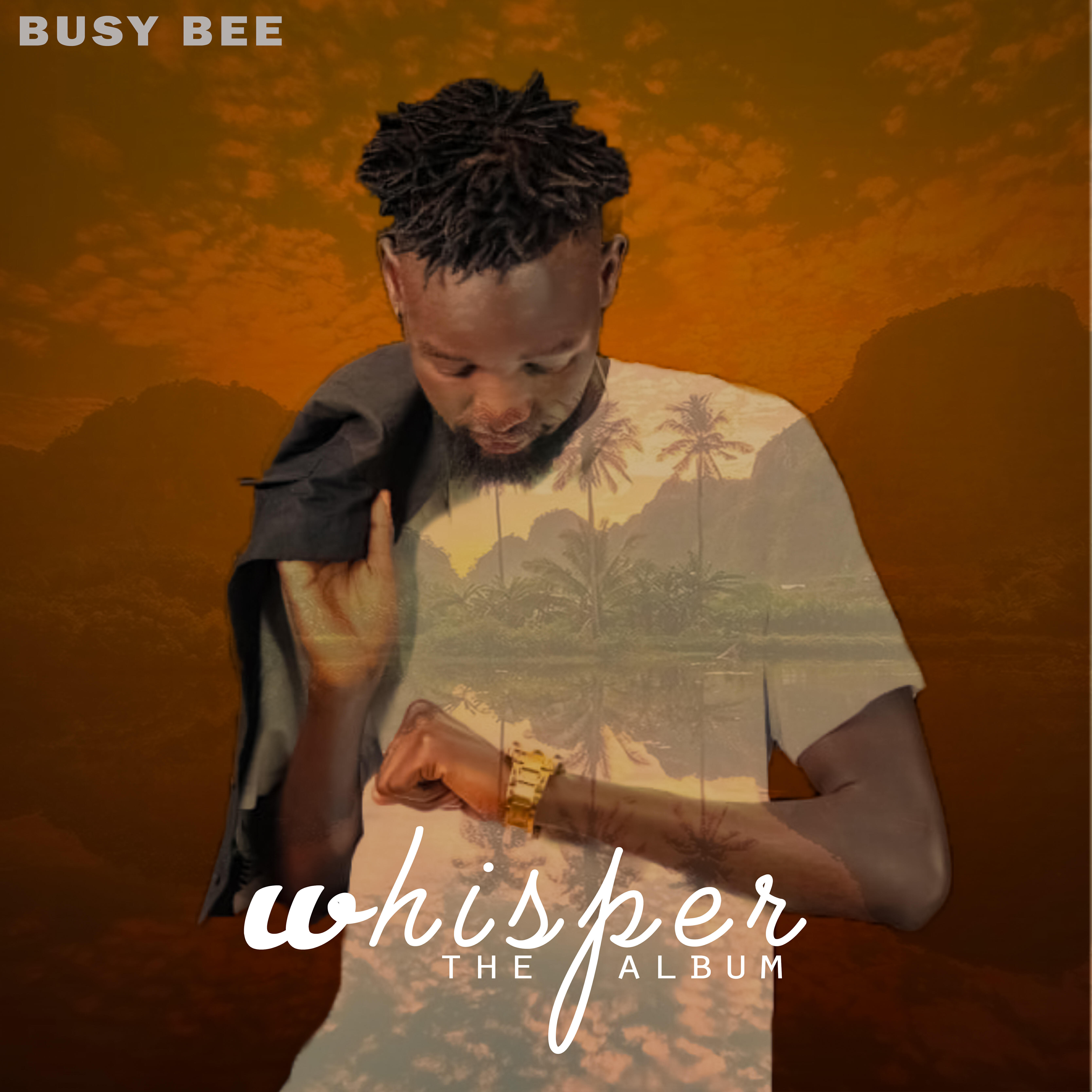Релиз Whisper