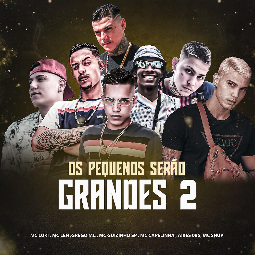 Скачать песню MC Luki, MC Leh, Mc Guizinho SP, Mc Capelinha, Aires 085, MC Snup, Grego Mc - Os Pequenos Serão Grandes 2 бесплатно в MP3 для Android и iOS
