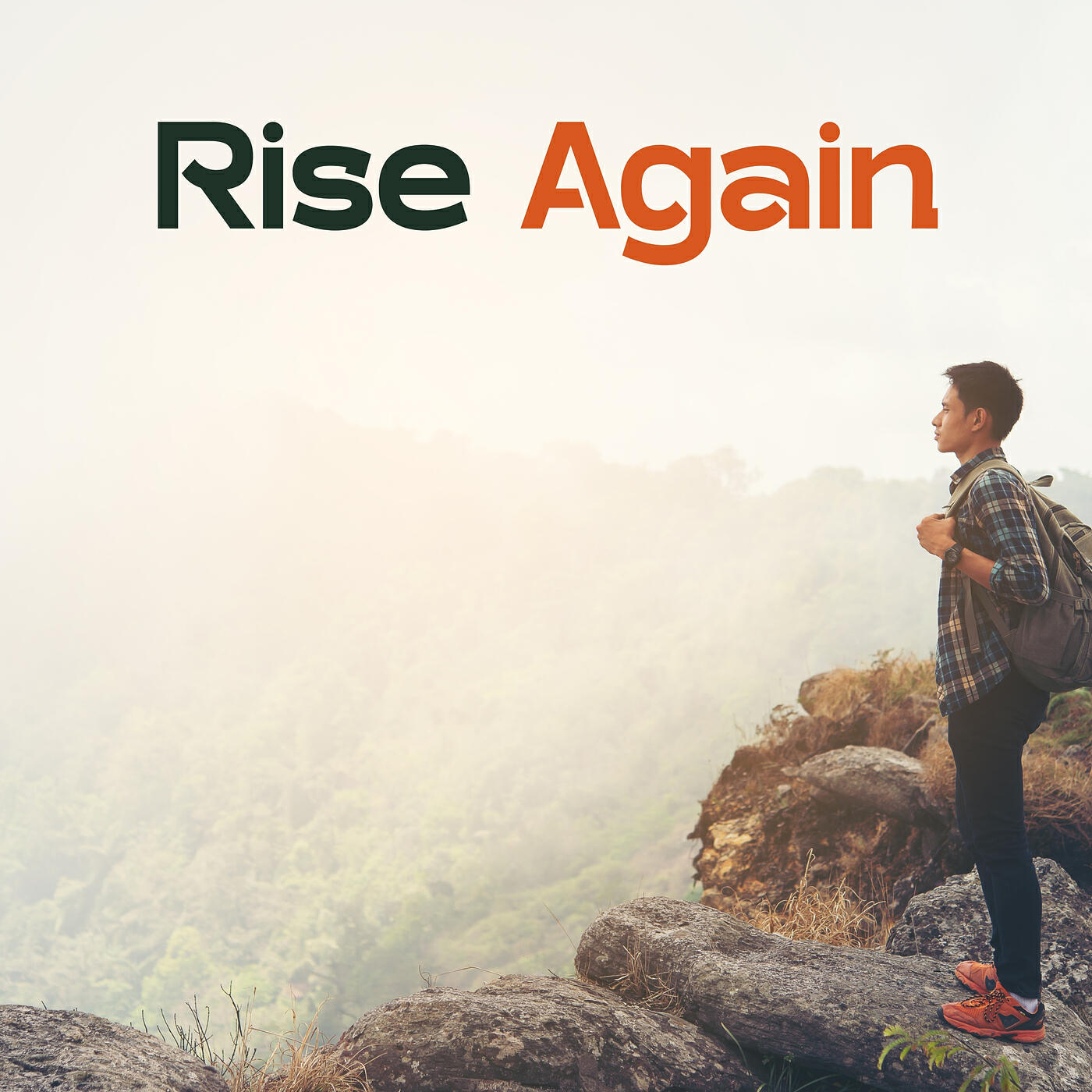 Релиз Rise Again