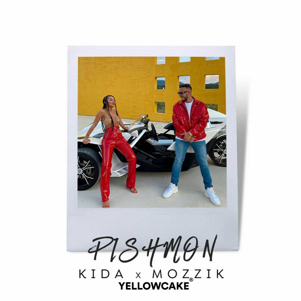 Релиз Pishmon