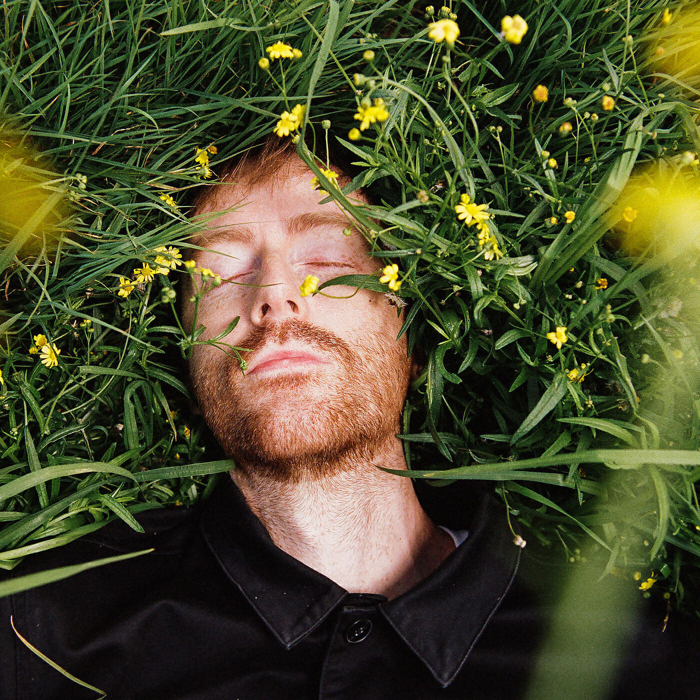 Релиз Young Wild Free