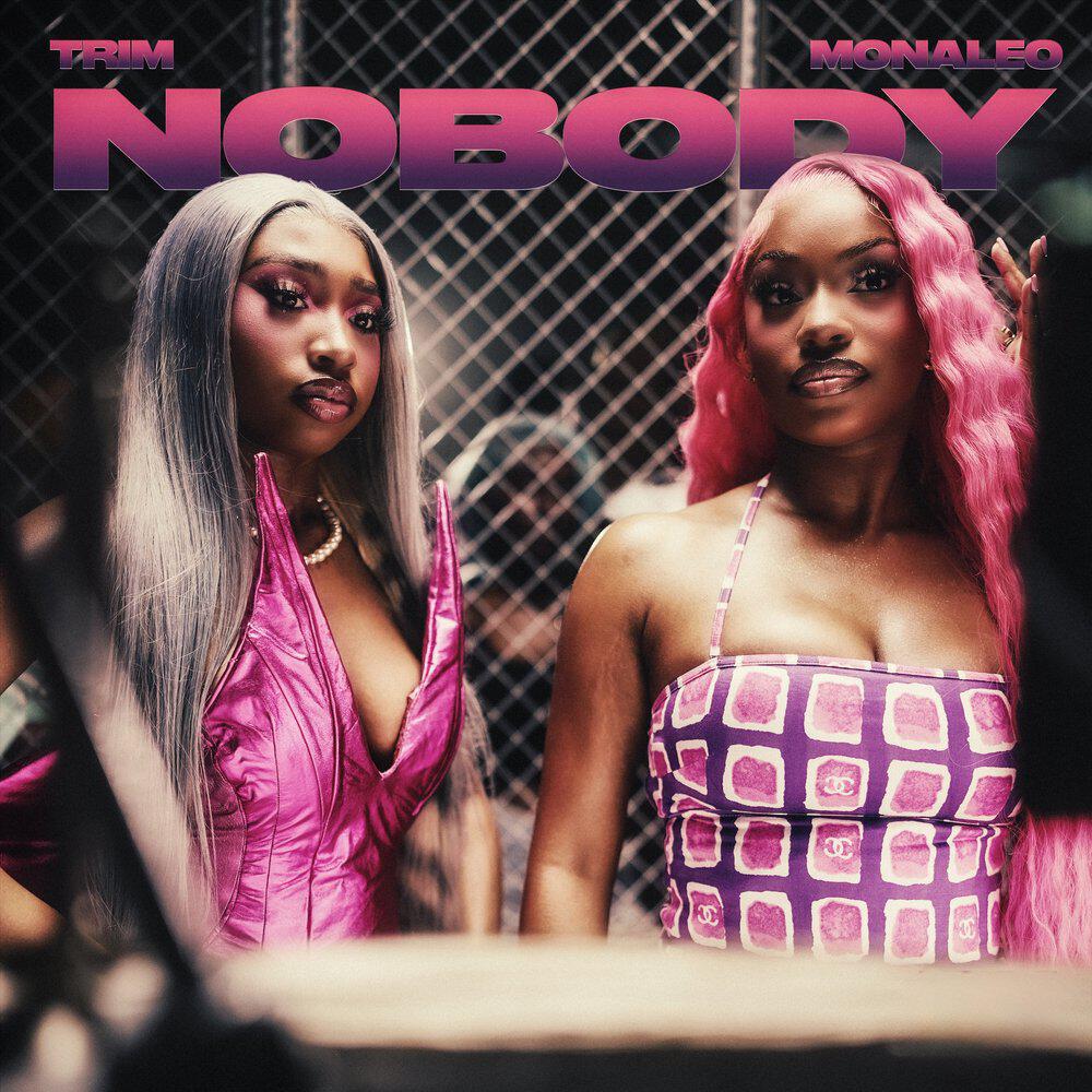 Релиз Nobody (feat. Monaleo) [Remix]