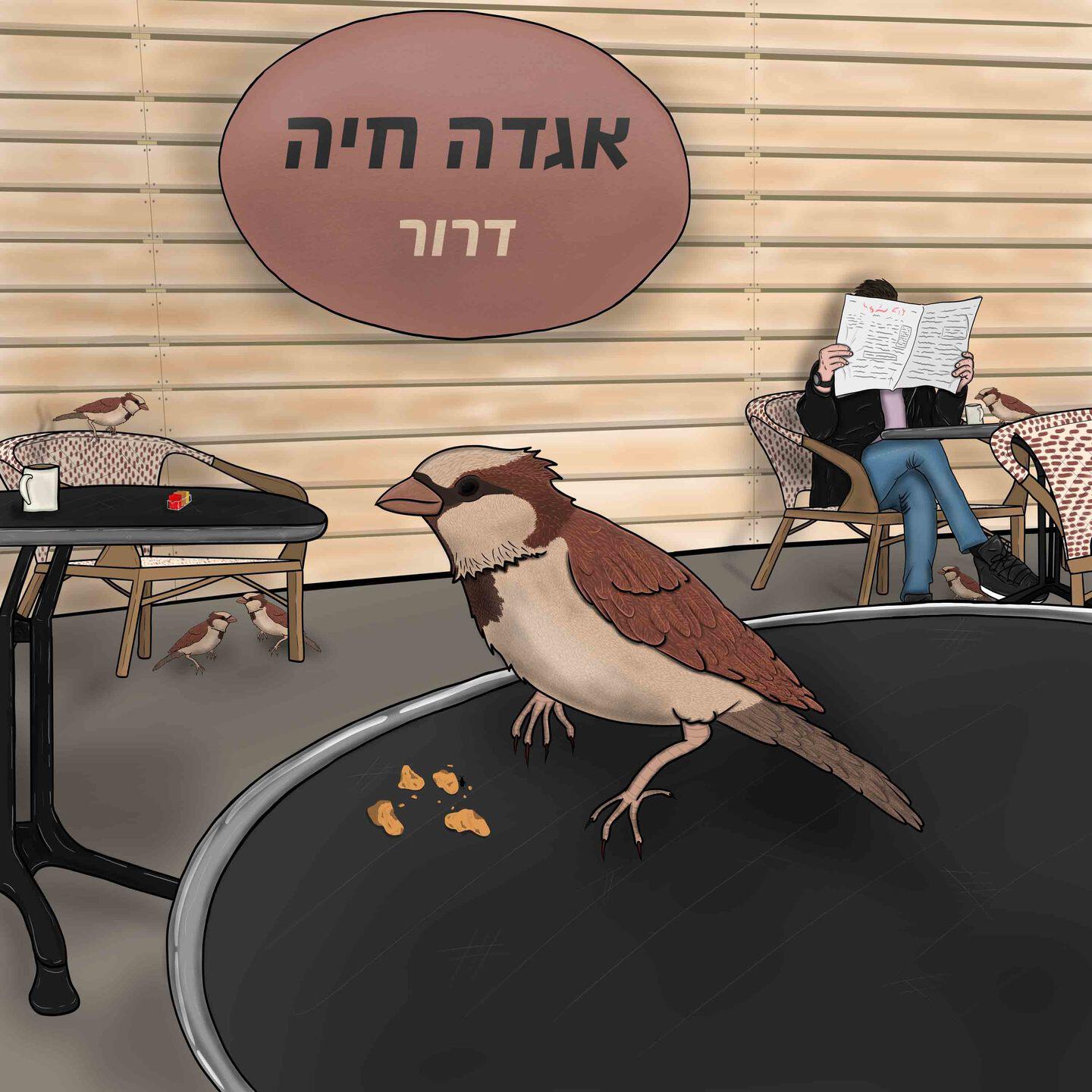 Релиз דרור