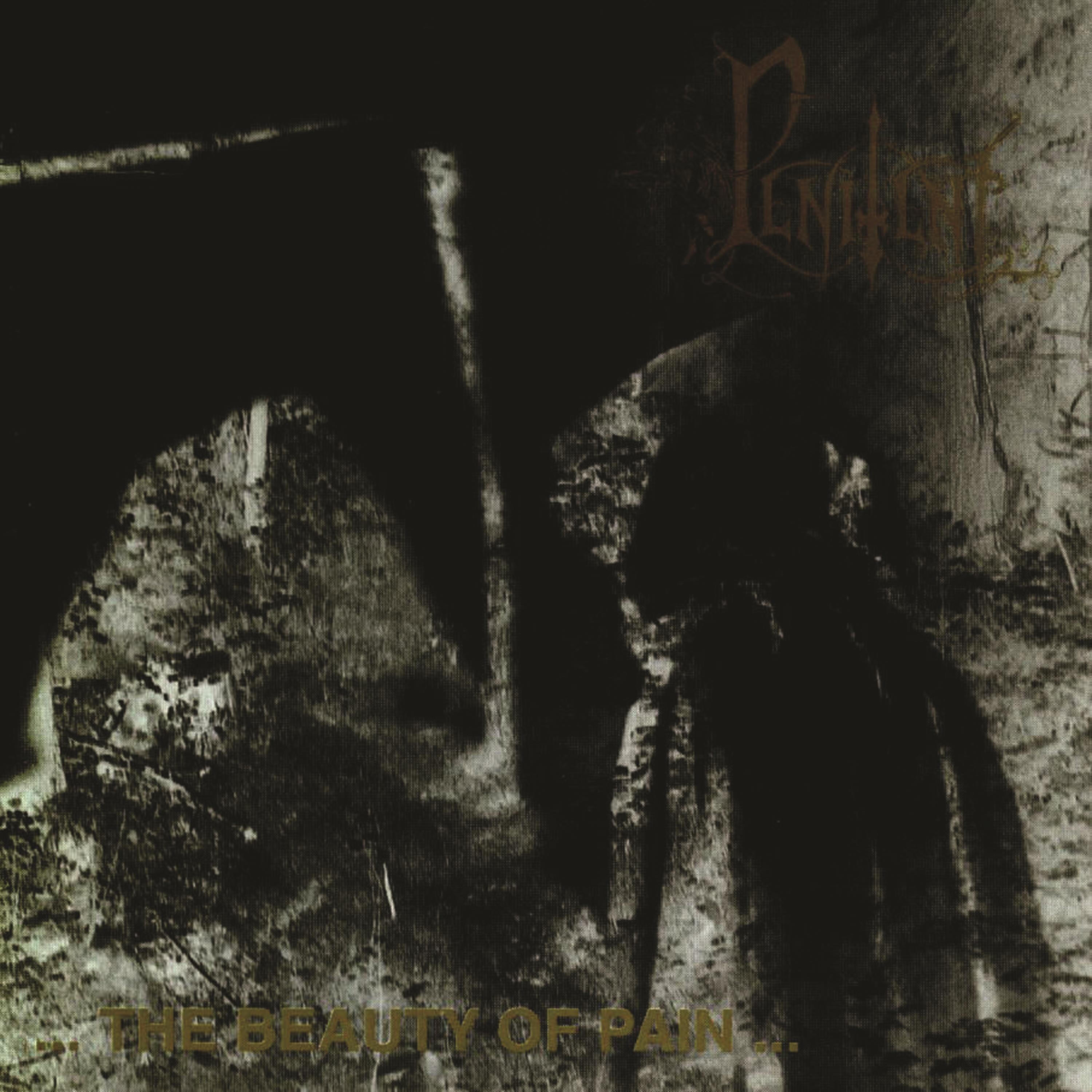 Релиз The Beauty of Pain