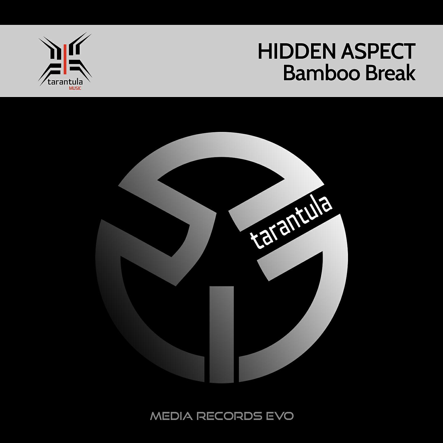 Hidden Aspect