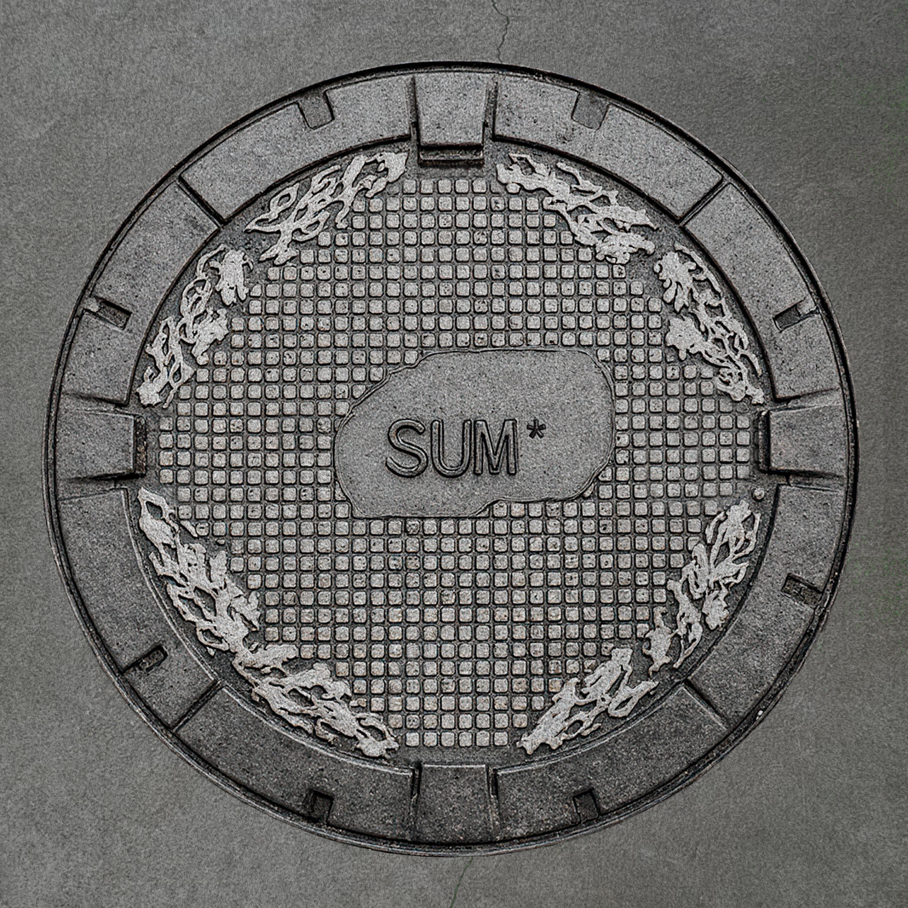Релиз SUM*