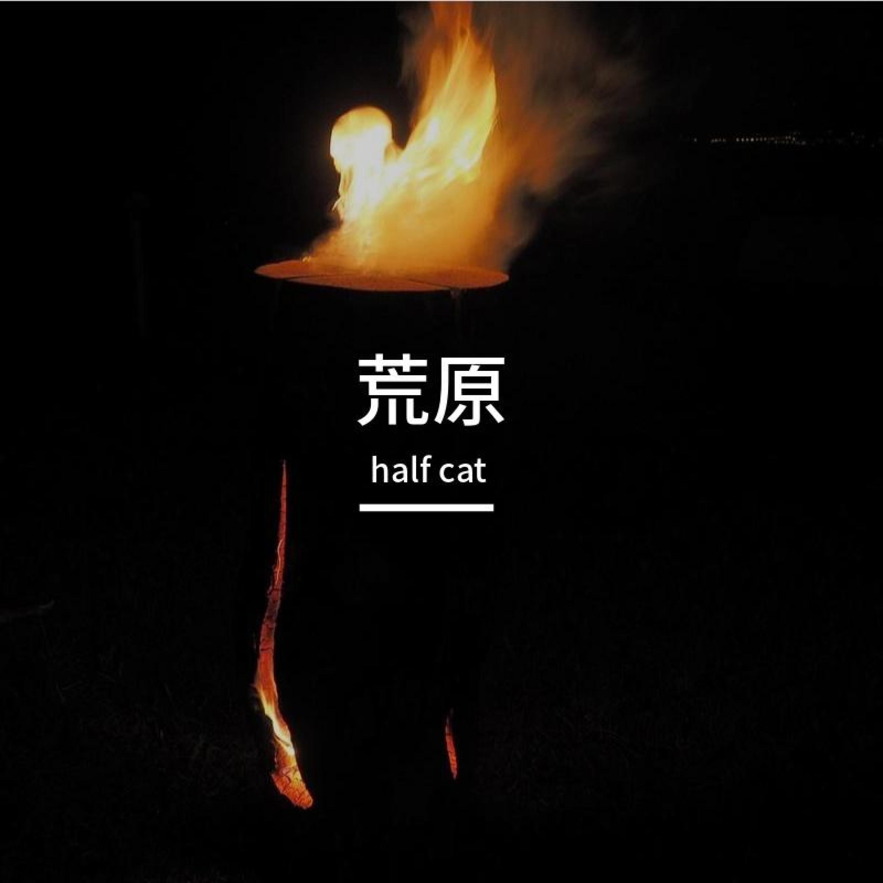 Релиз 荒原
