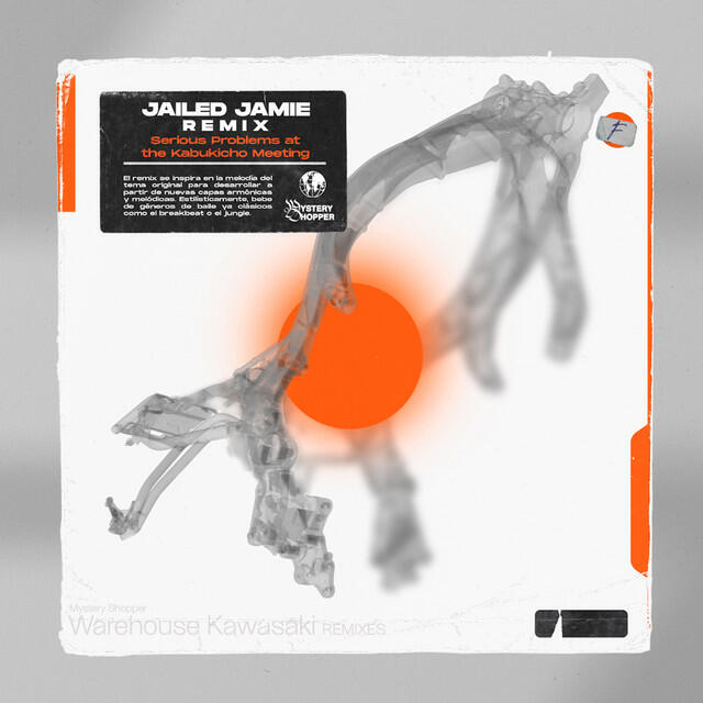 Релиз Serious Problems at the Kabukicho Meeting (Jailed Jamie Remix)