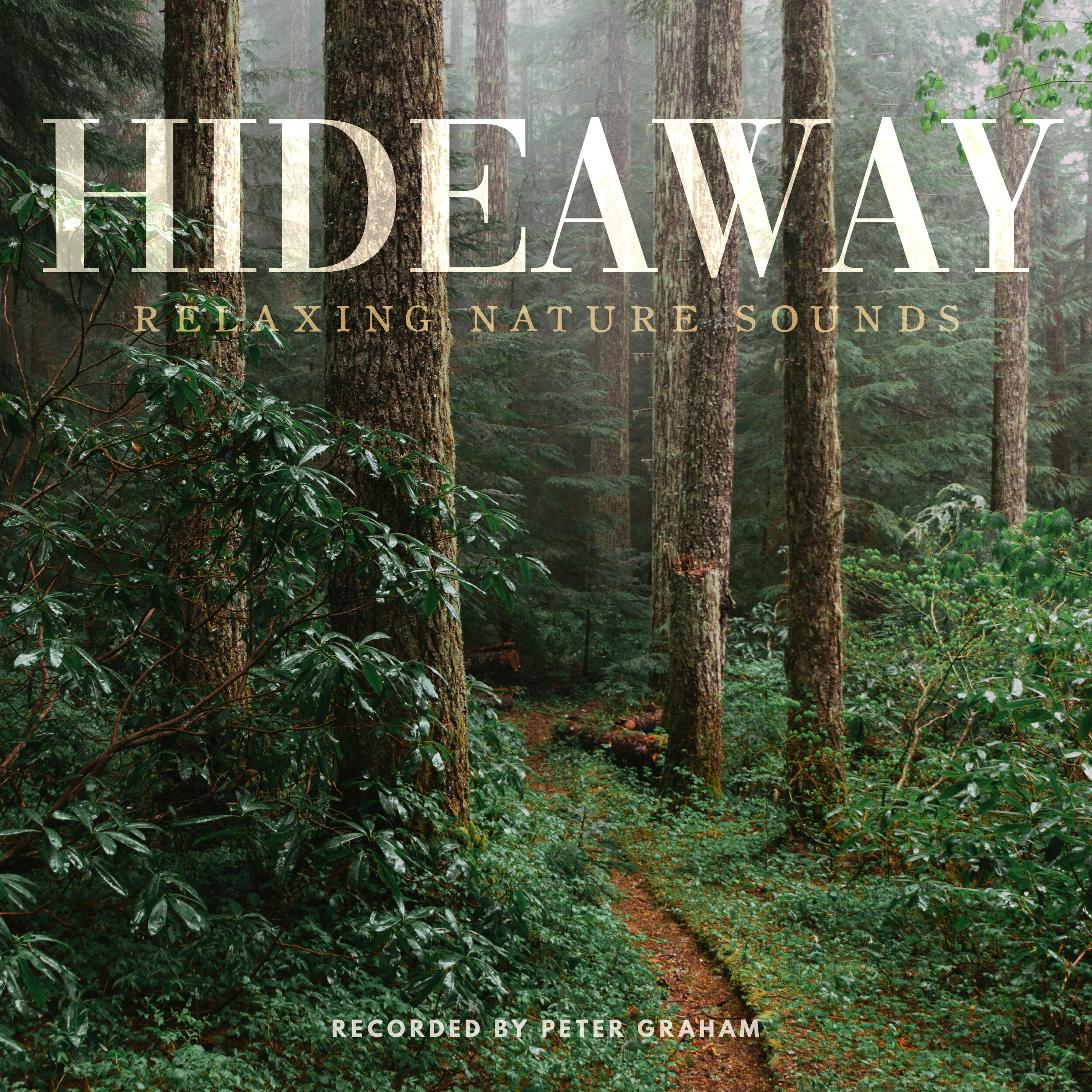 Релиз Hideaway