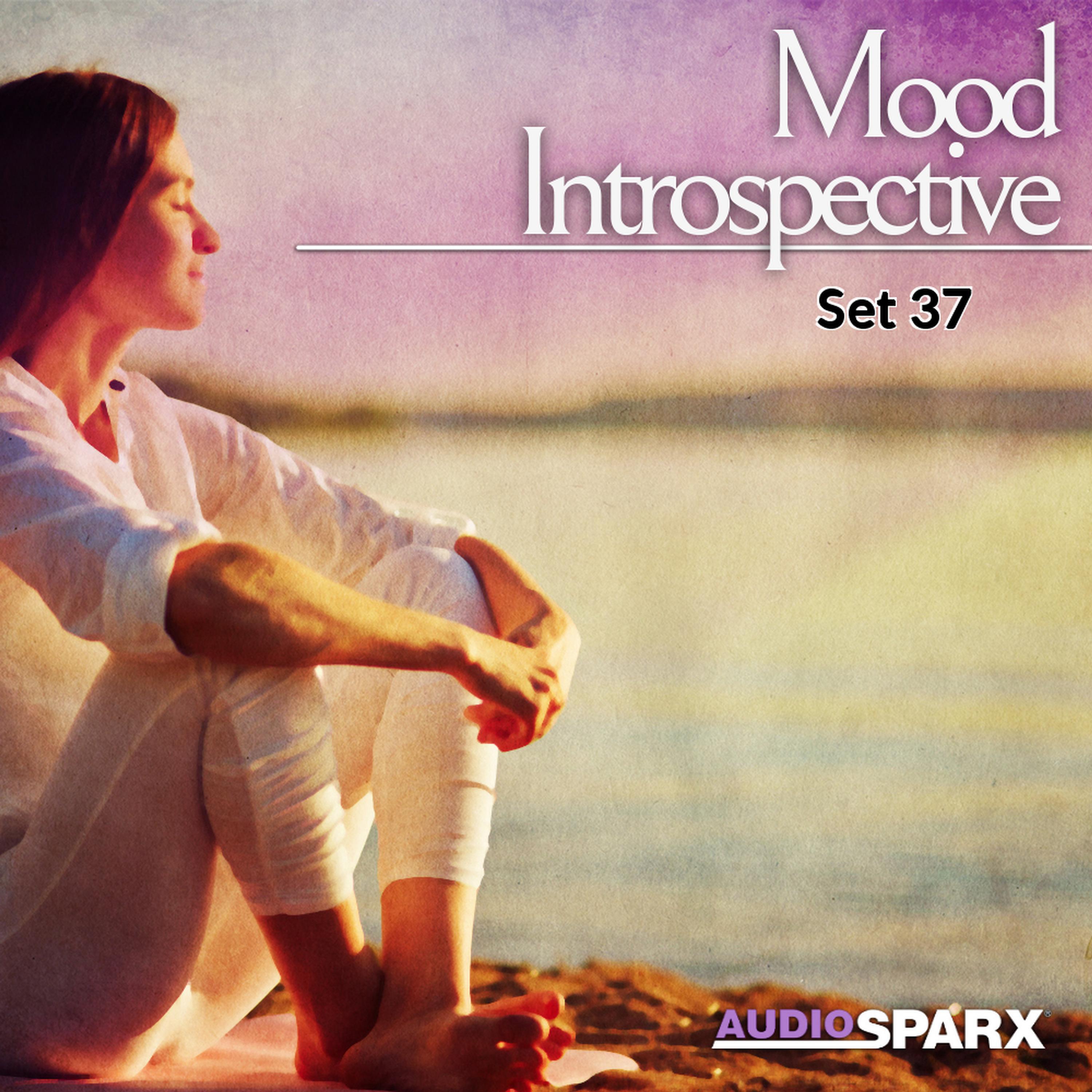 Релиз Mood Introspective, Set 37