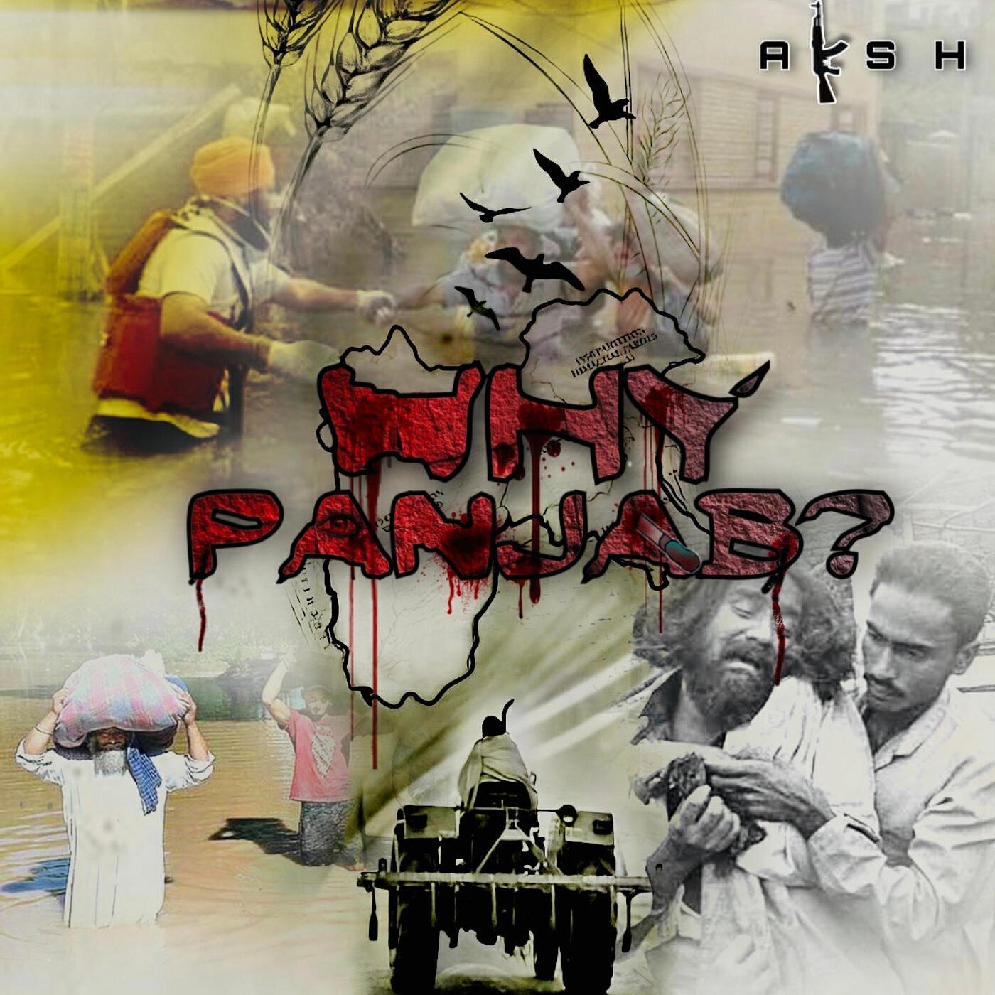 Релиз Why Panjab?