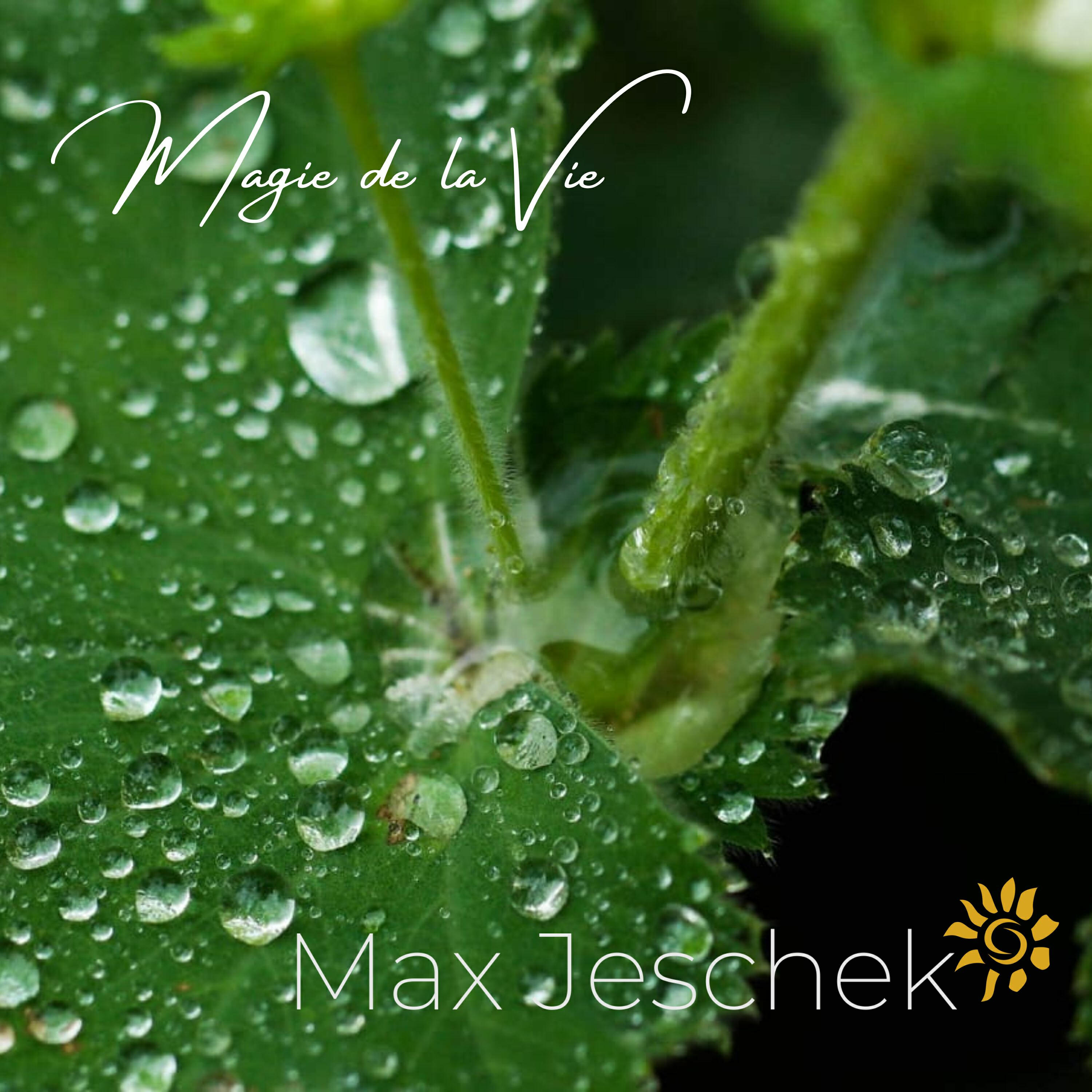 Релиз Magie de la vie
