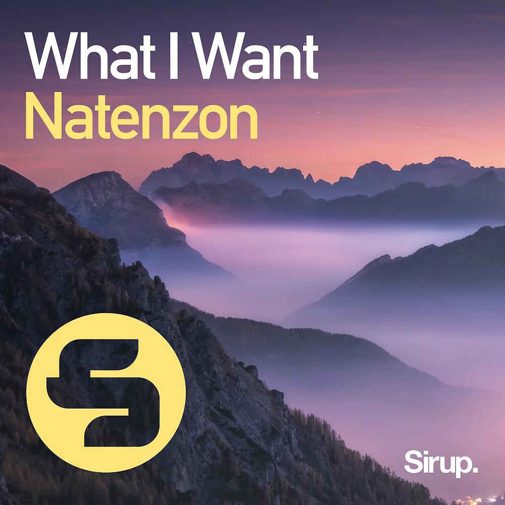 Релиз What I Want