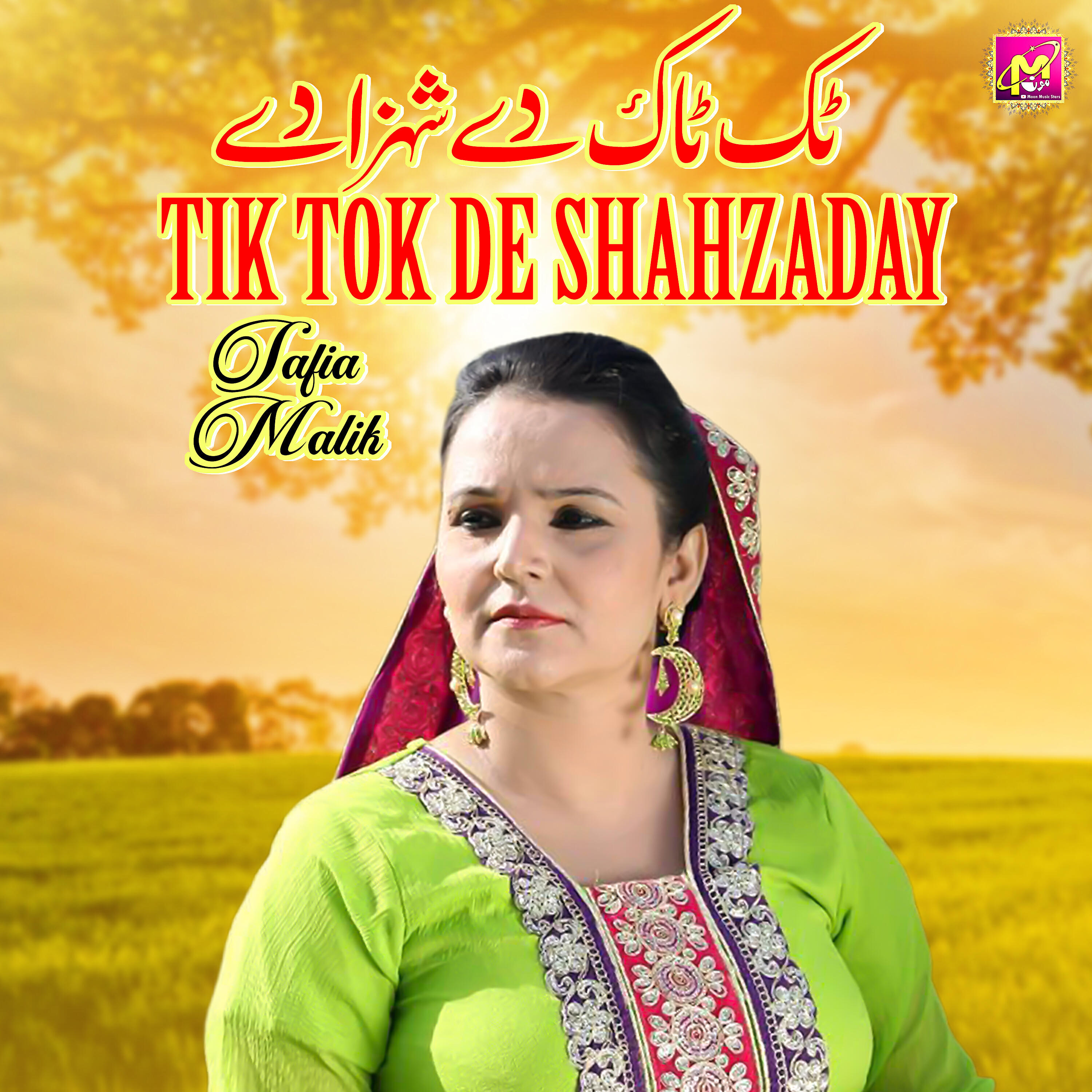 Релиз Tik Tok De Shahzaday - Single