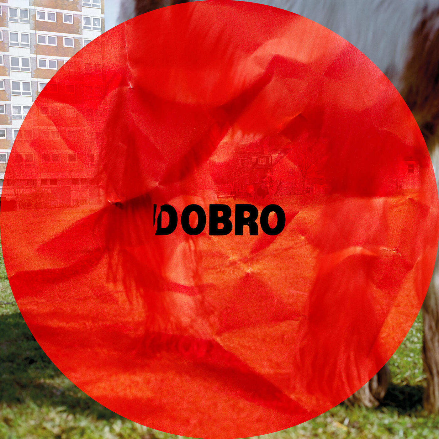 Релиз Dobro