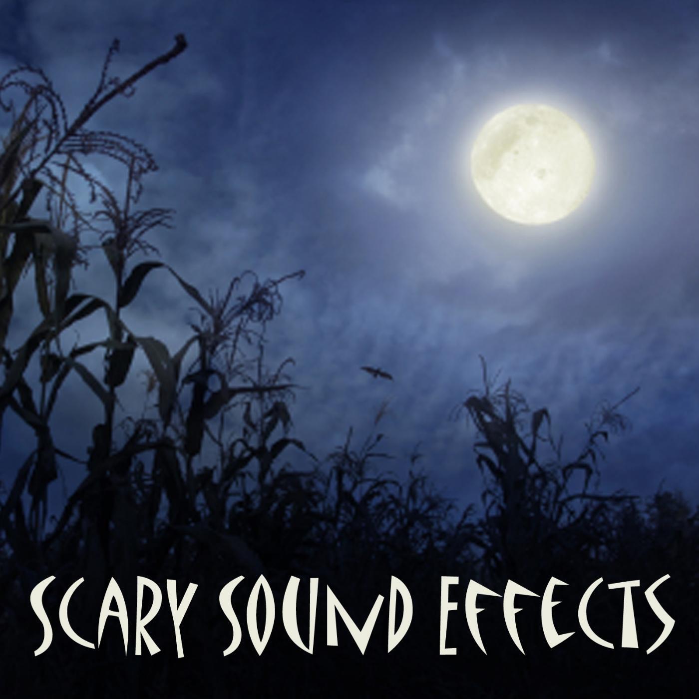 Релиз Scary Sound Effects