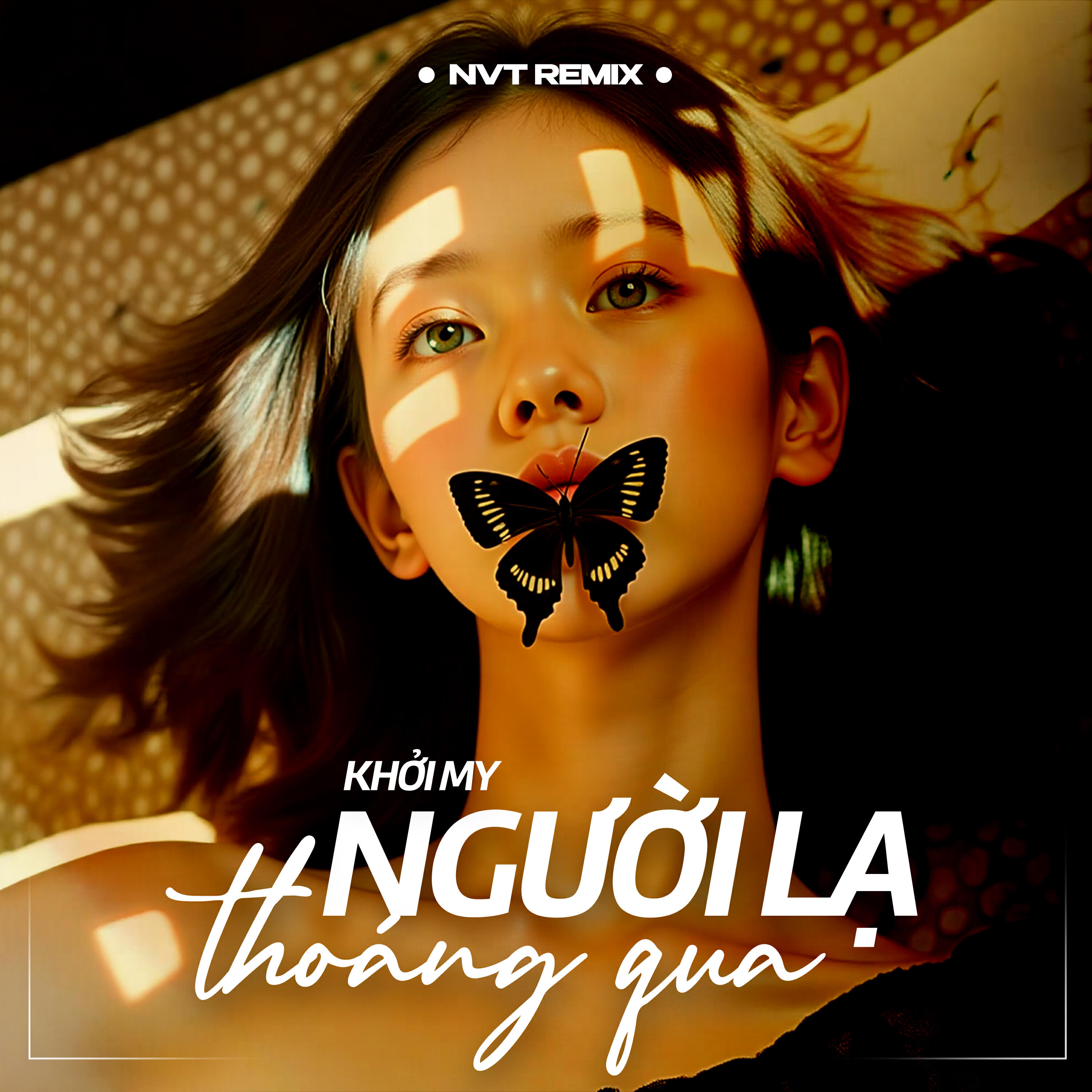 Релиз Người Lạ Thoáng Qua (NVT Remix)