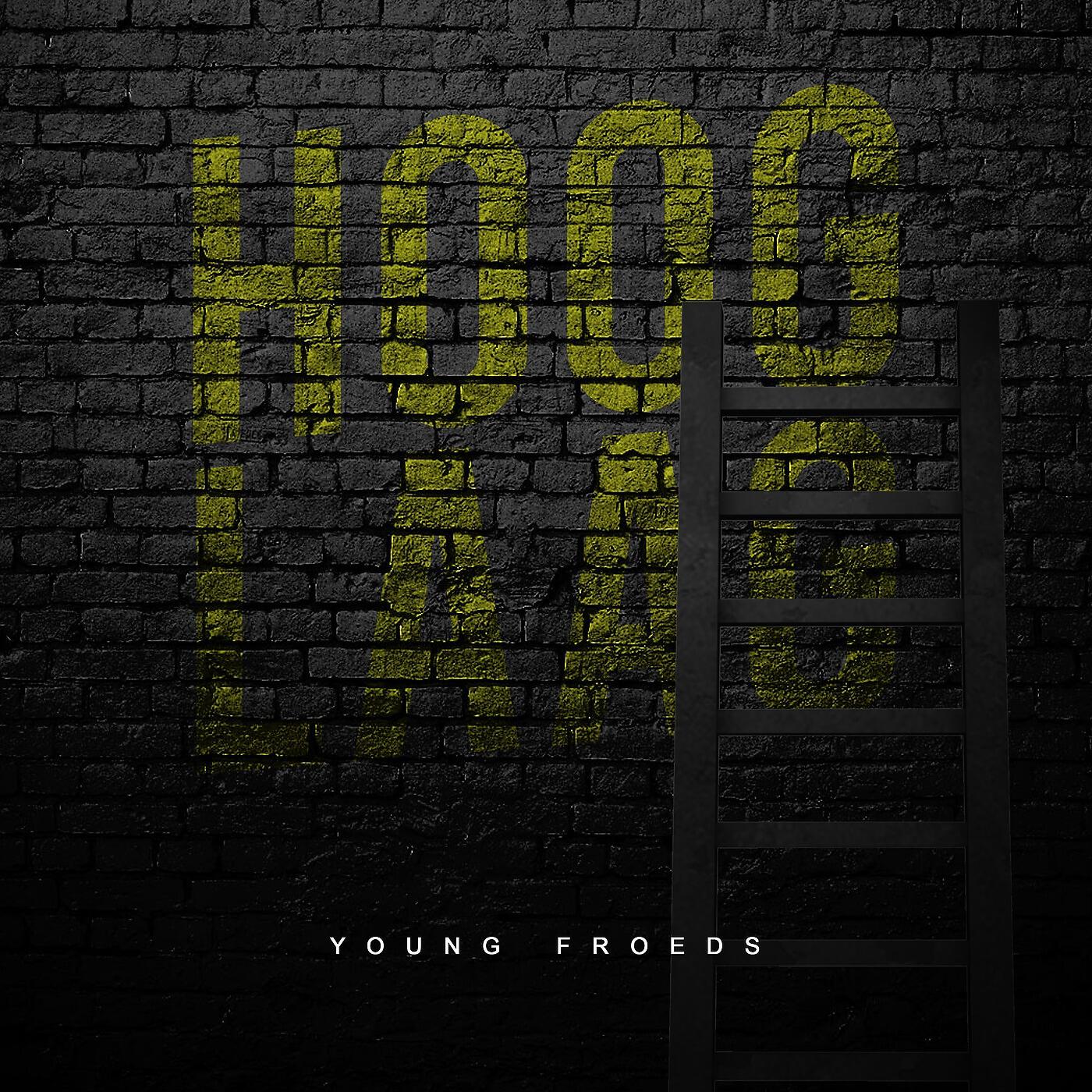 Постер альбома Hoog Laag