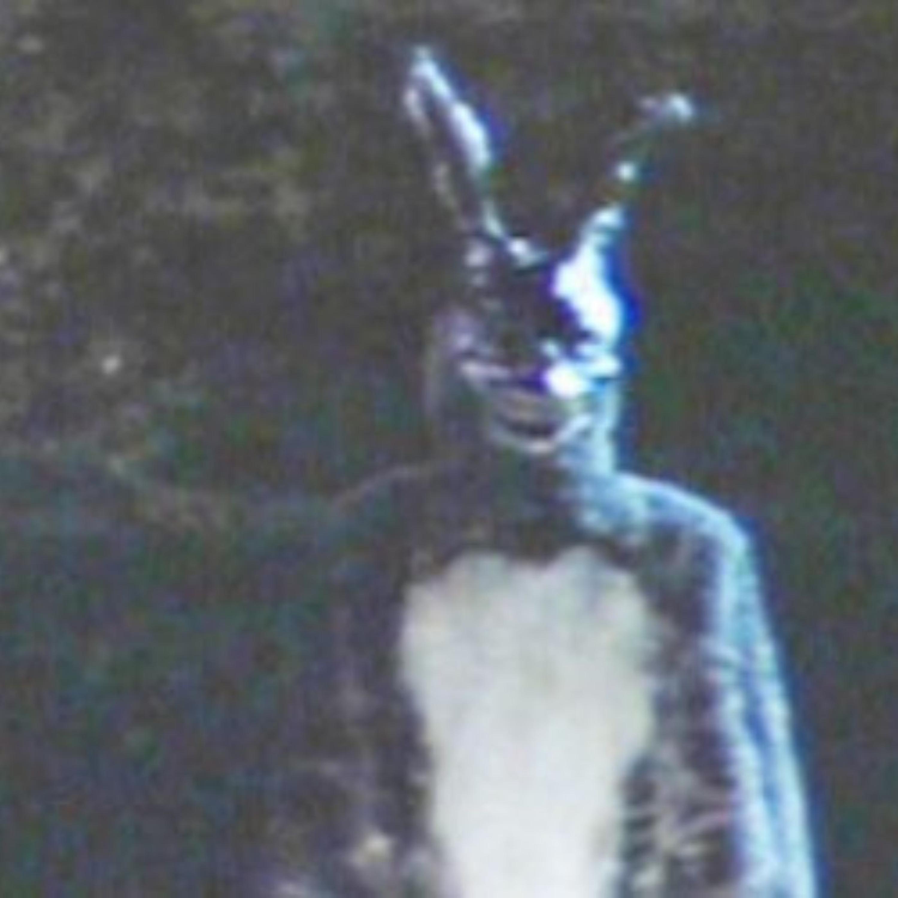 Релиз DONNIE DARKO