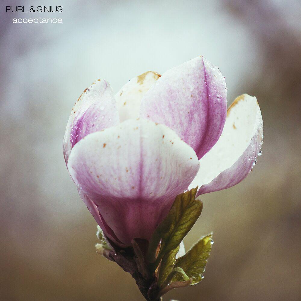 Релиз Acceptance
