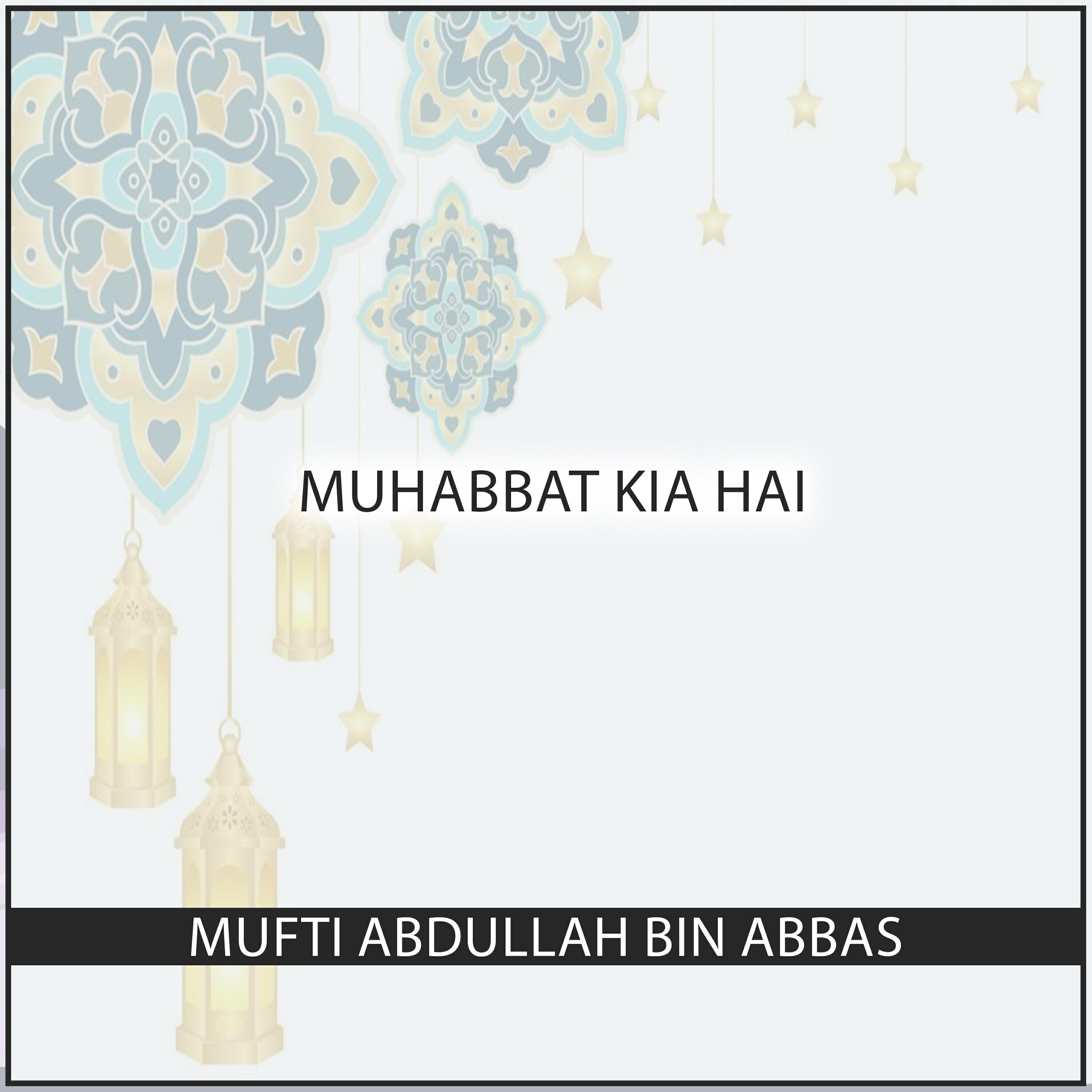 Релиз Muhabbat Kia Hai