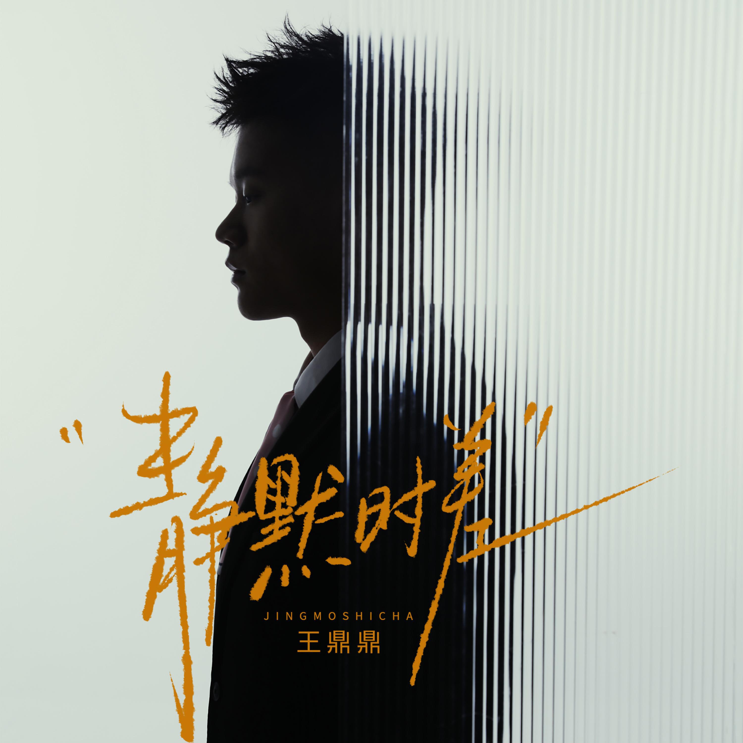 王鼎鼎