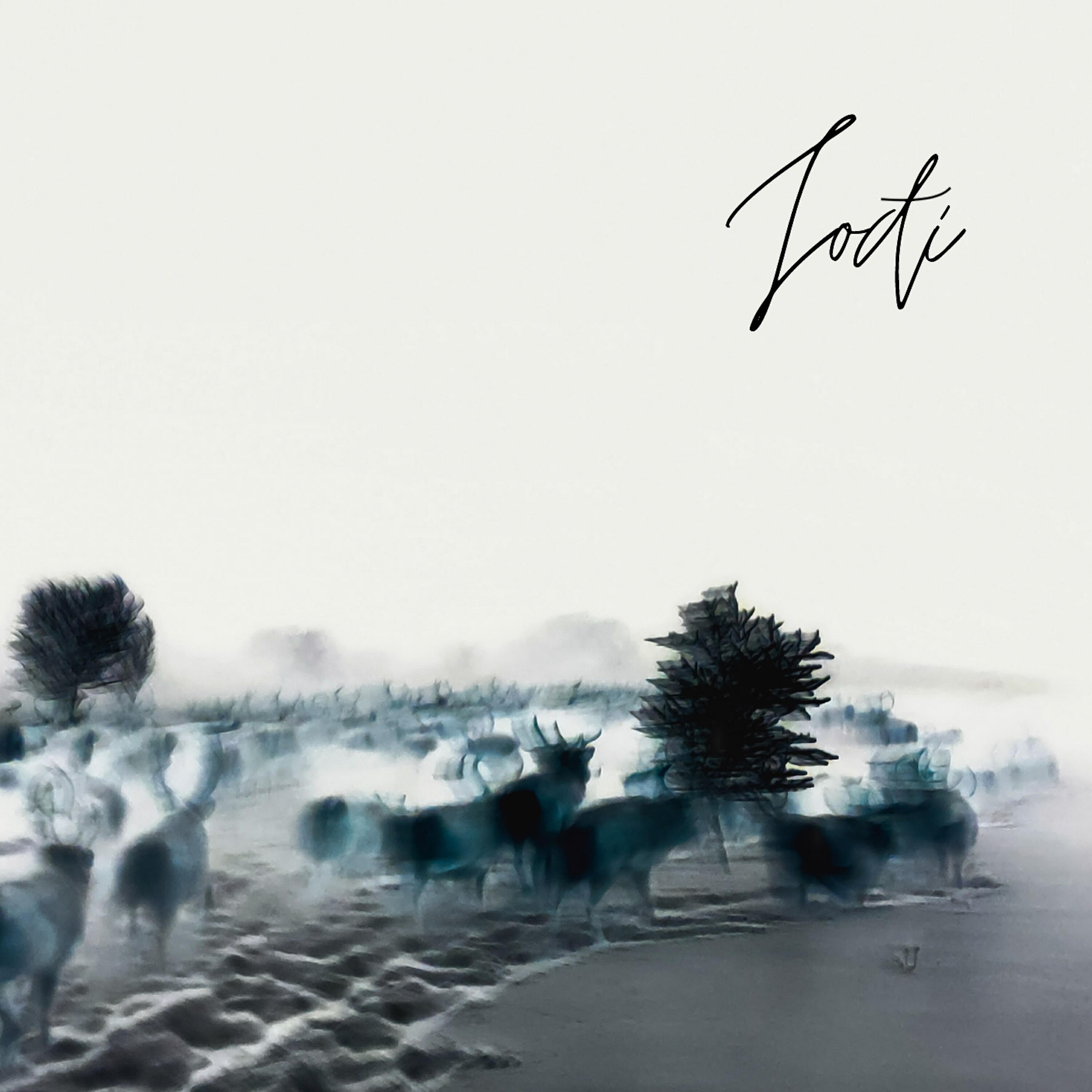 Релиз Jođi