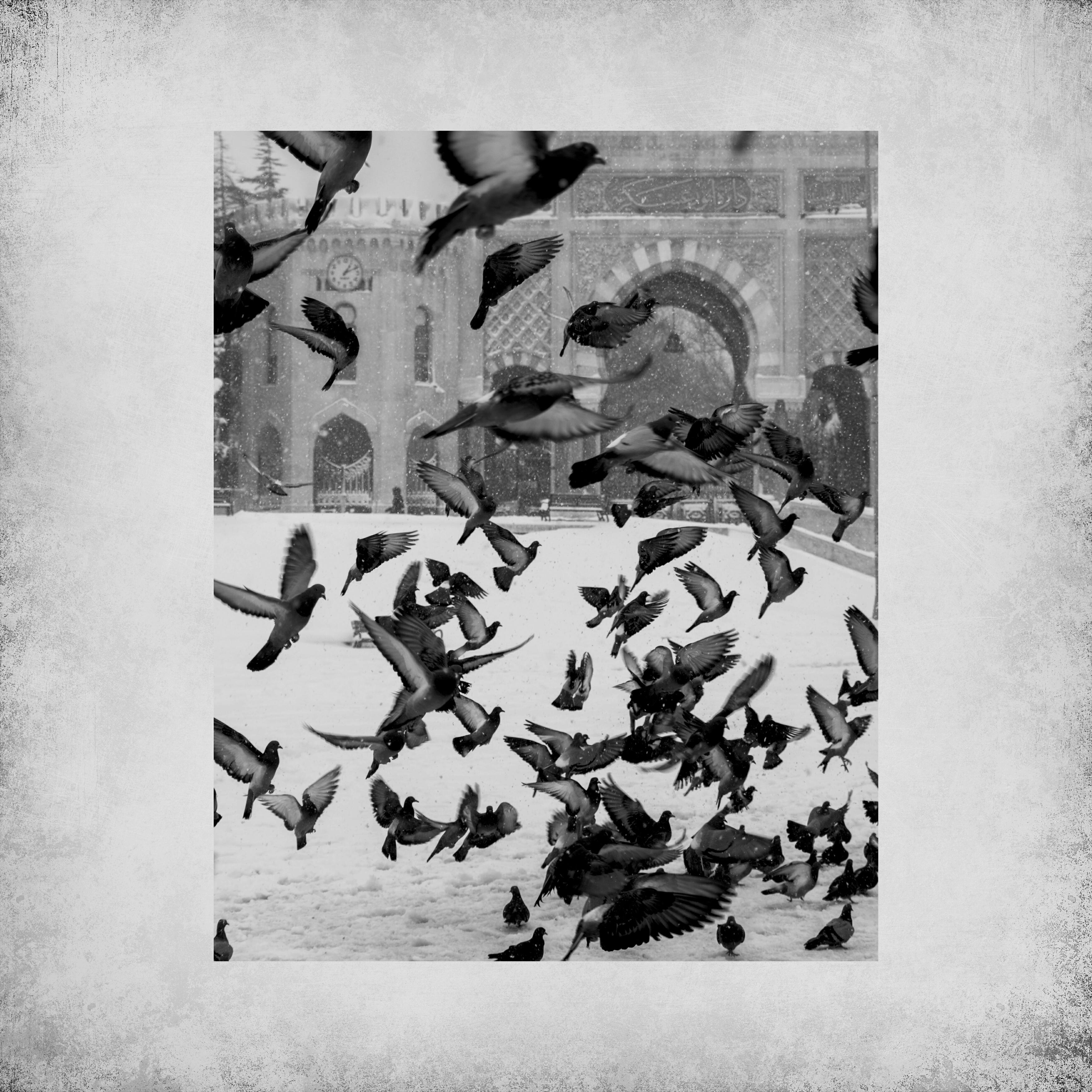 Релиз Myriads
