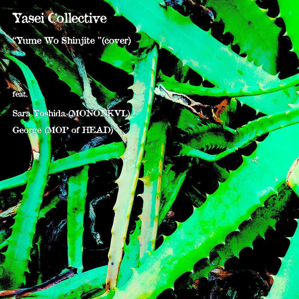 Релиз Yume Wo Shinjite [feat. 吉田沙良(モノンクル), George(Mop of Head)]