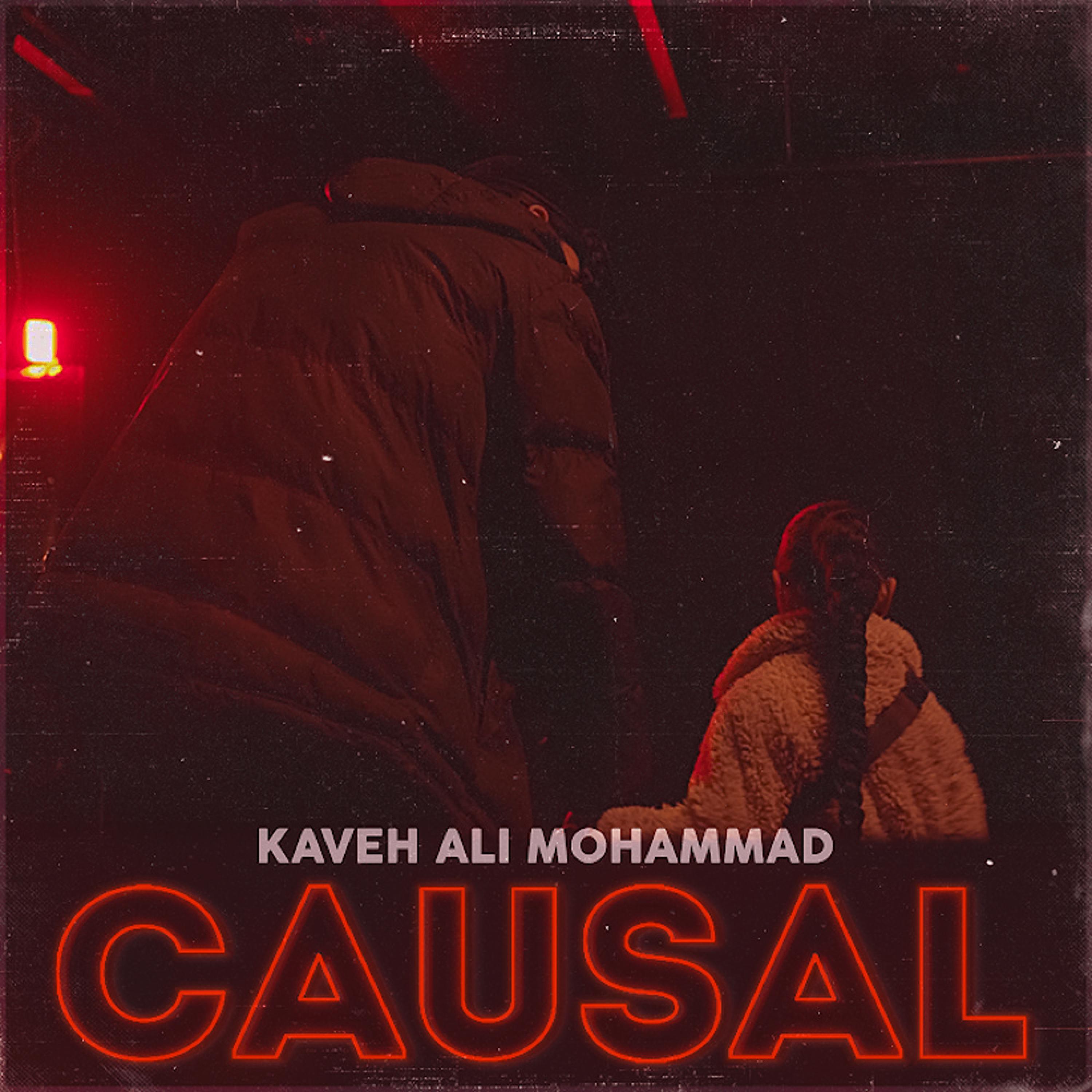 Релиз Causal