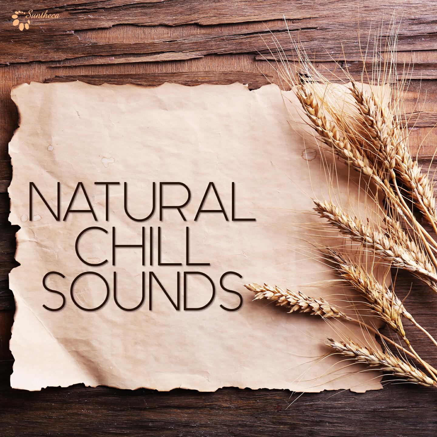 Релиз Natural Chill Sounds