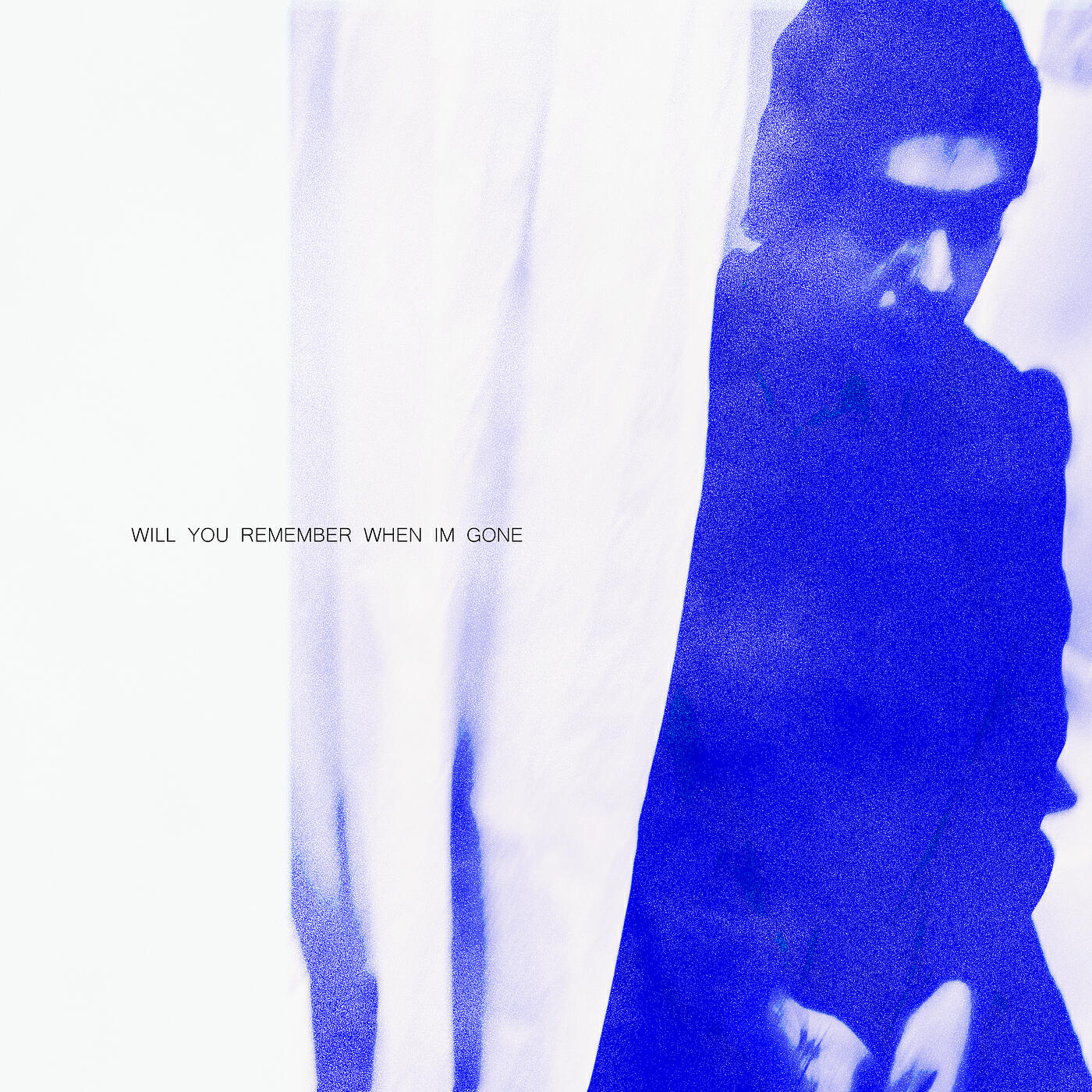 Релиз Will You Remember When I'm Gone (Instrumental)