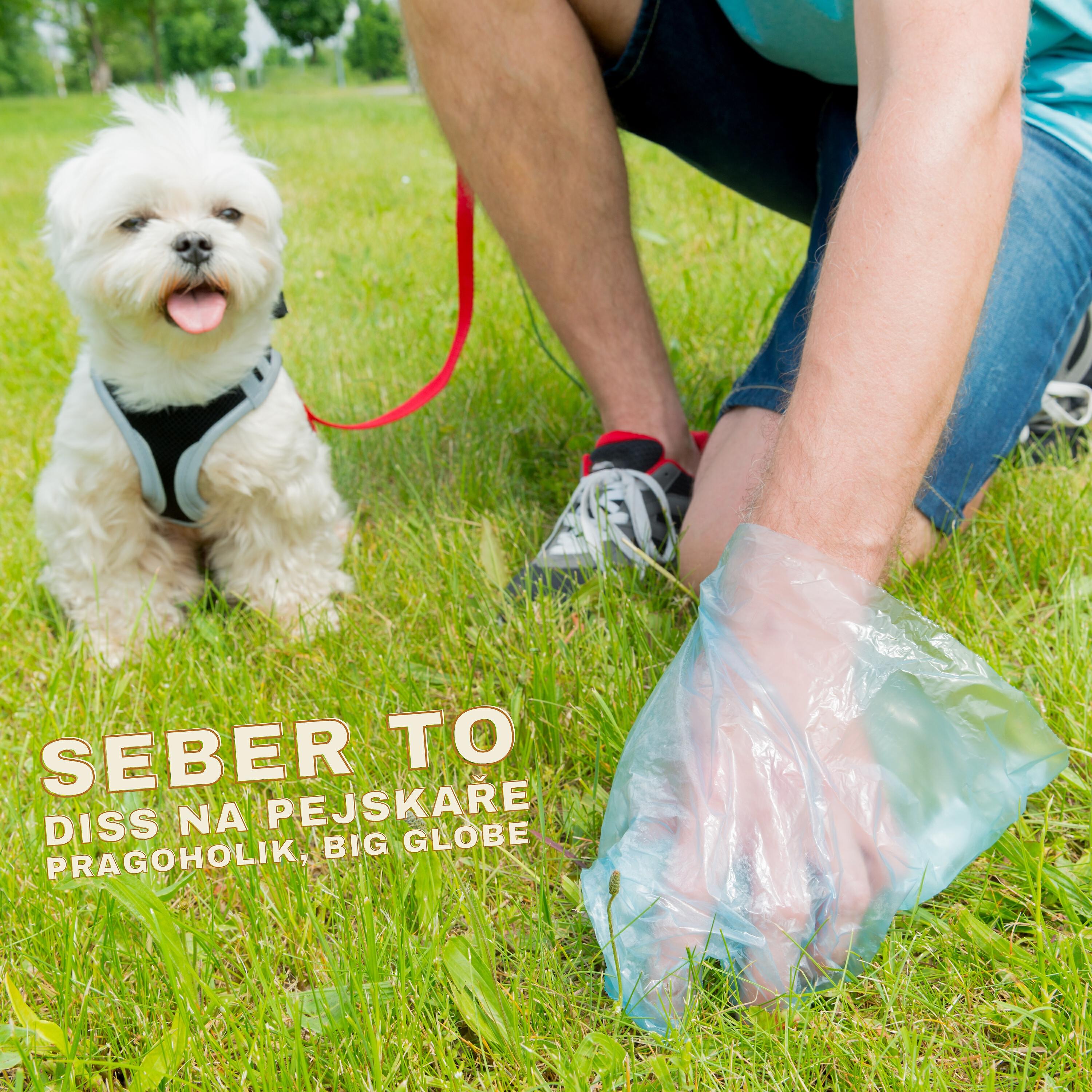 Релиз Seber to