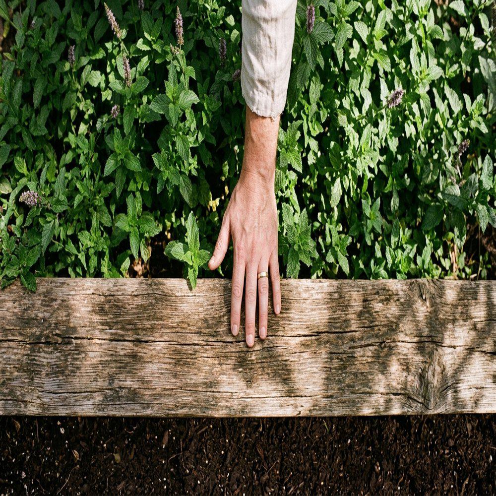 Релиз CLIFFSIDE HERB GARDEN PERFUMING THE SUMMER SEA BREEZE