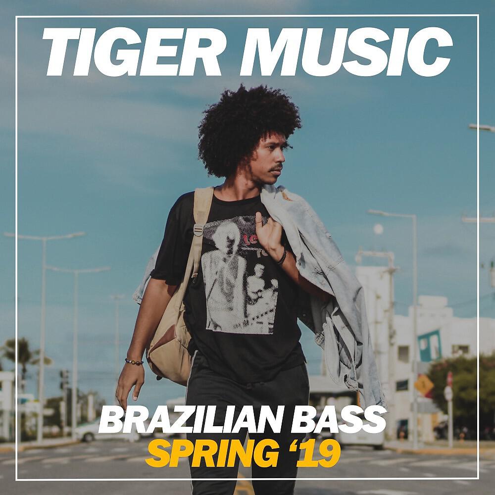 Релиз Brazilian Bass Spring '19