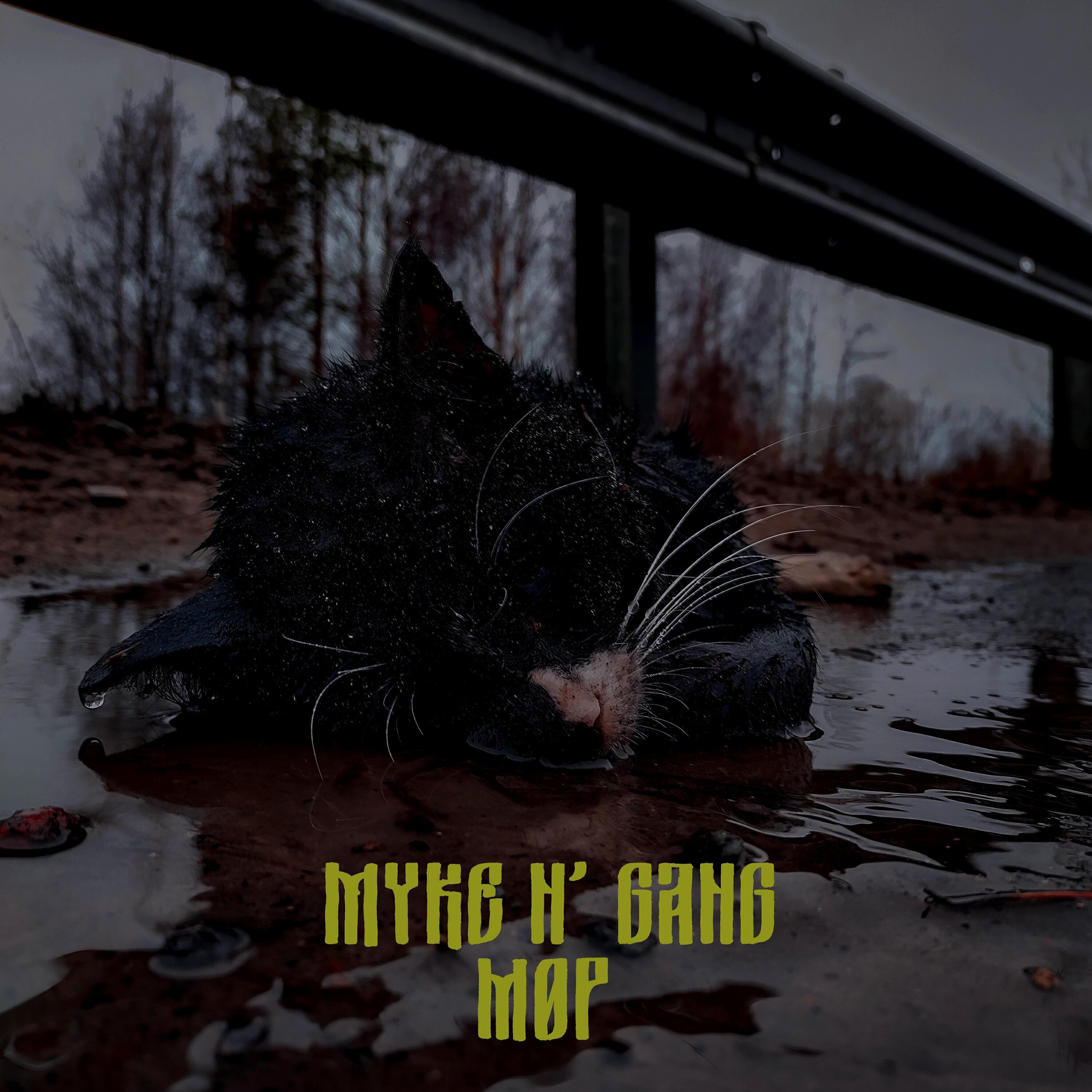 Релиз Мøр