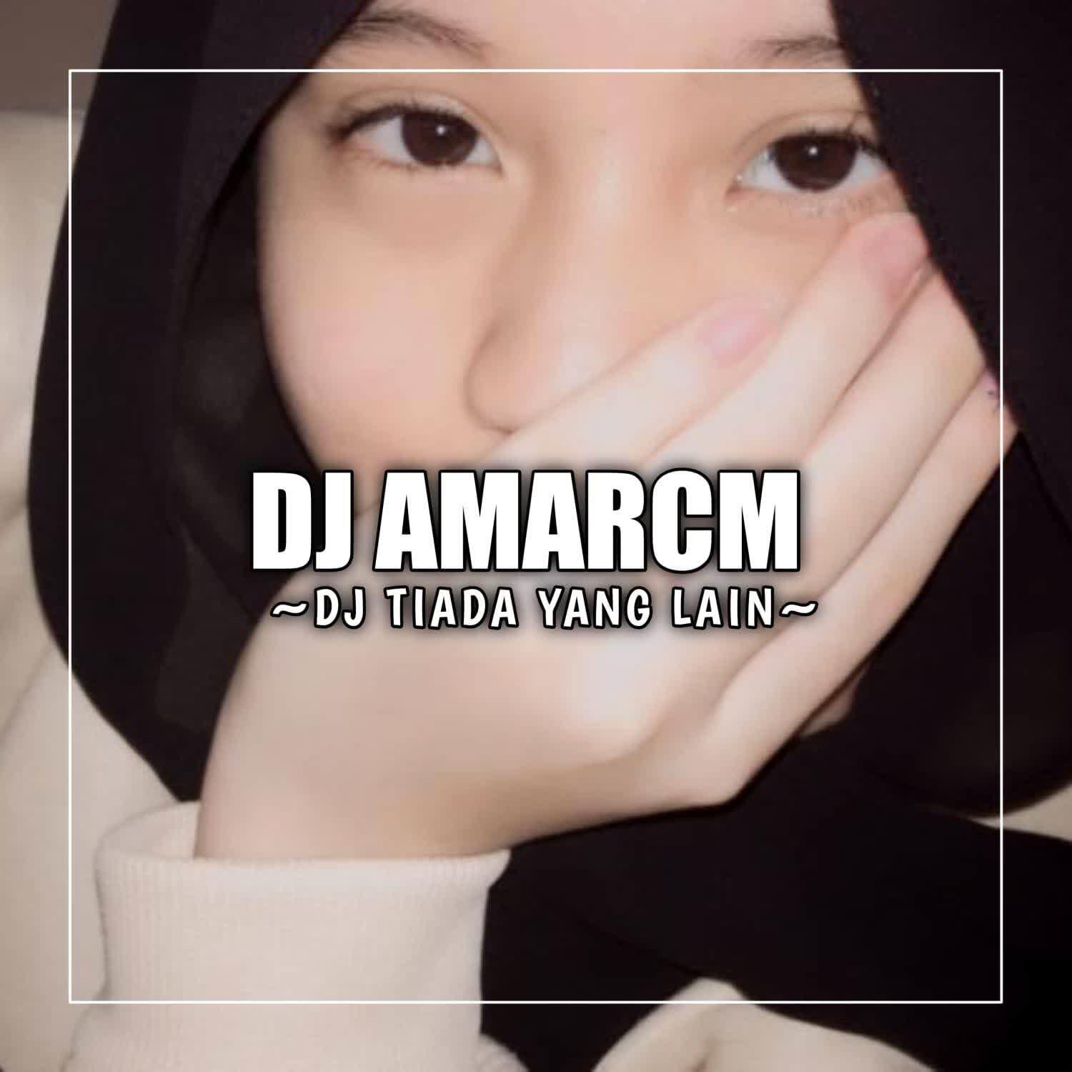Релиз DJ Tiada Yang Lain