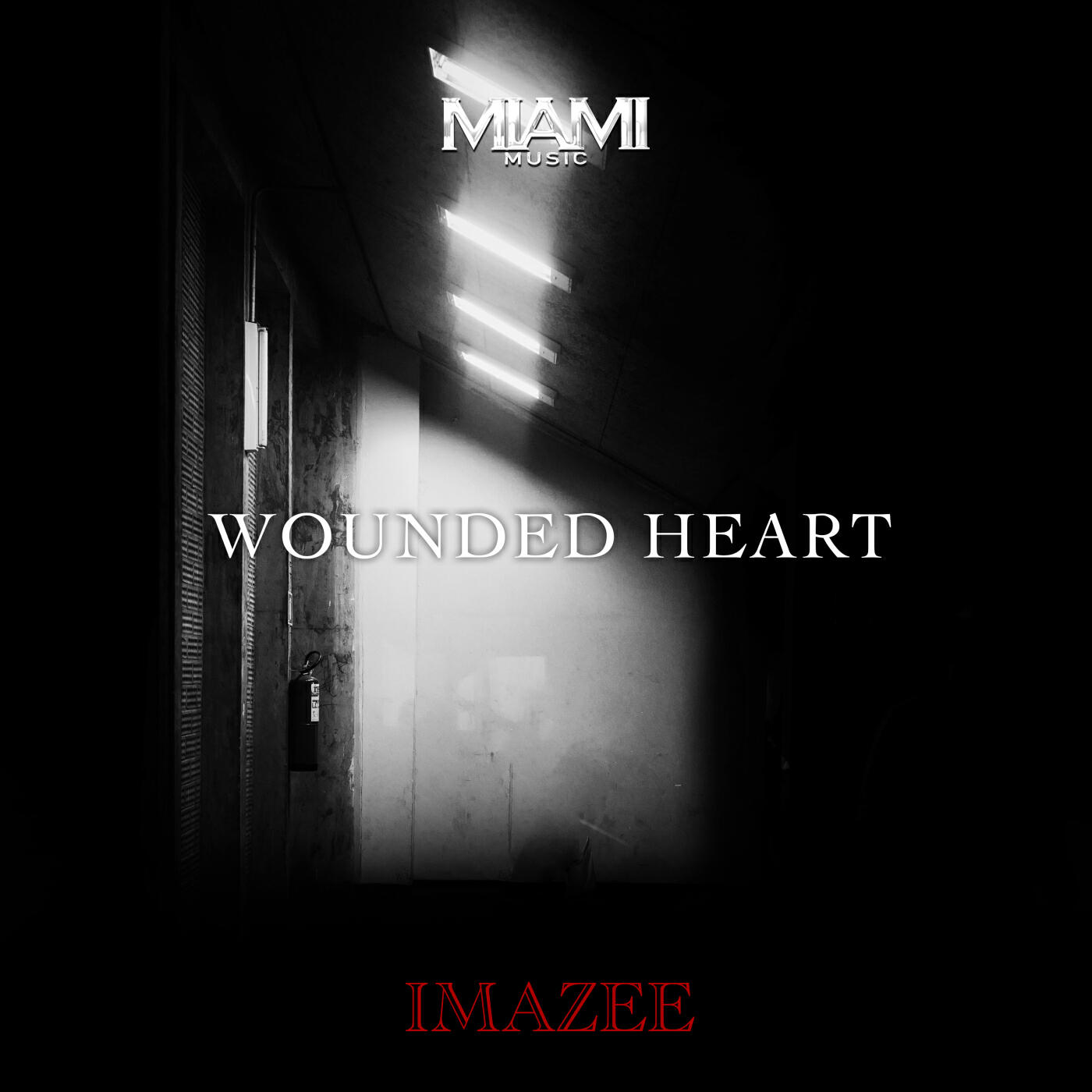 Постер альбома Wounded Heart