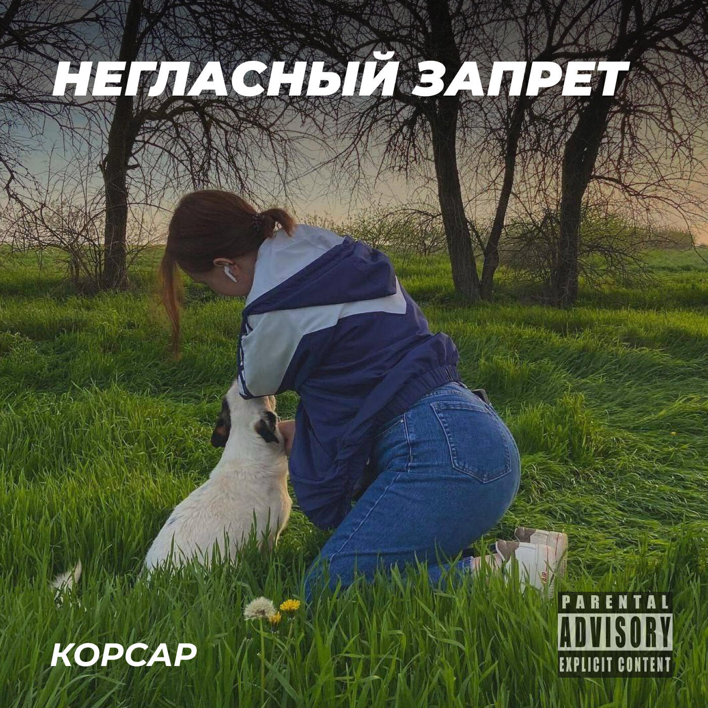 Релиз Корсар