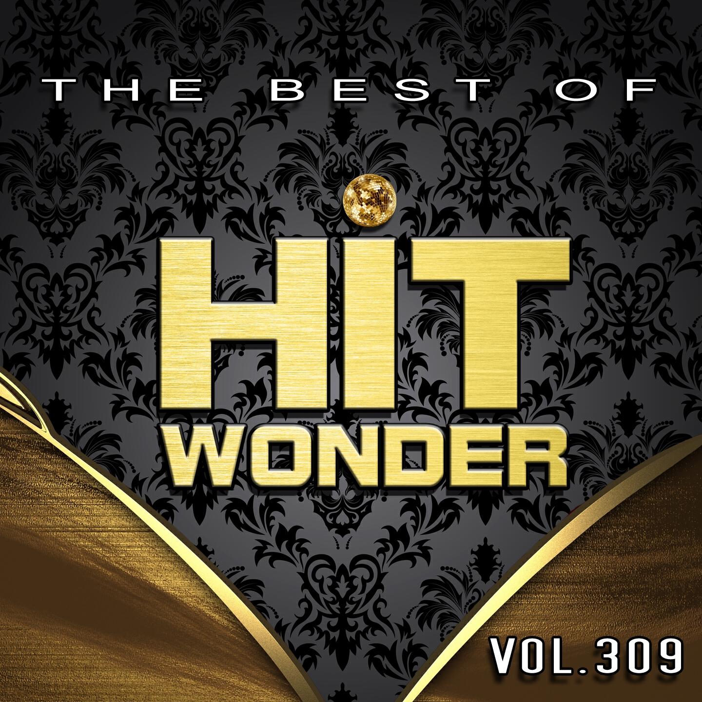 Релиз Hit Wonder: The Best Of, Vol. 309