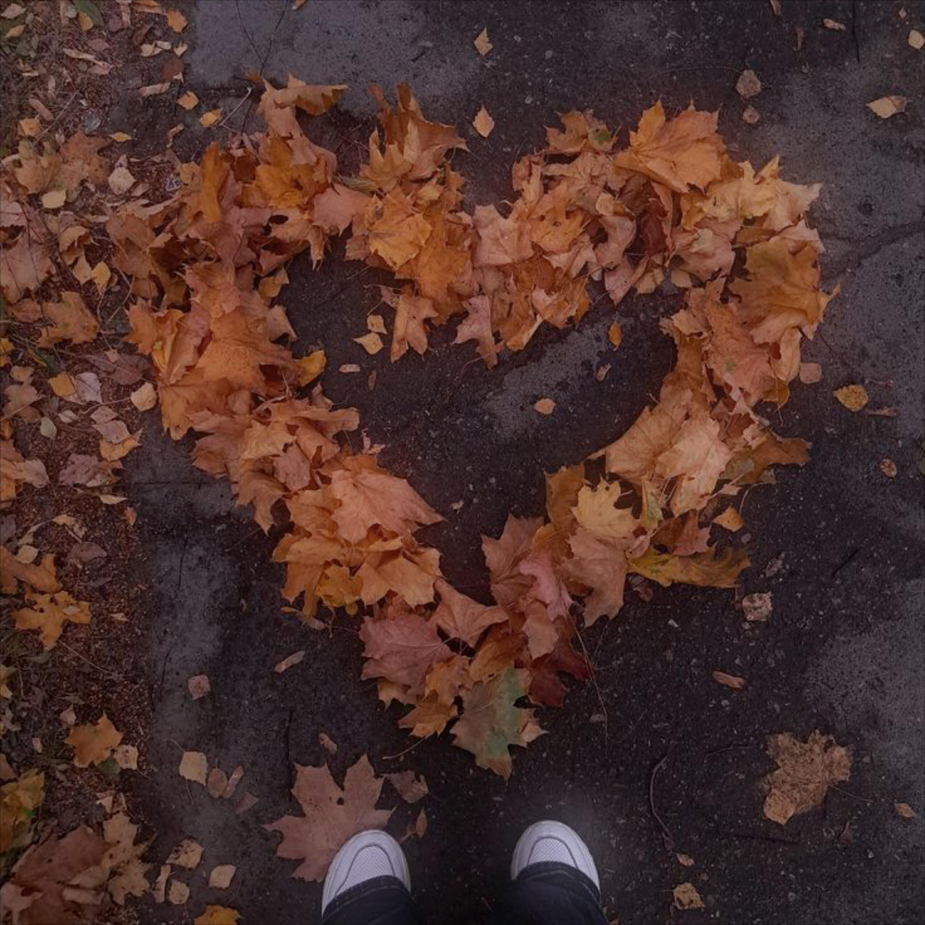 Релиз kiss in autumn