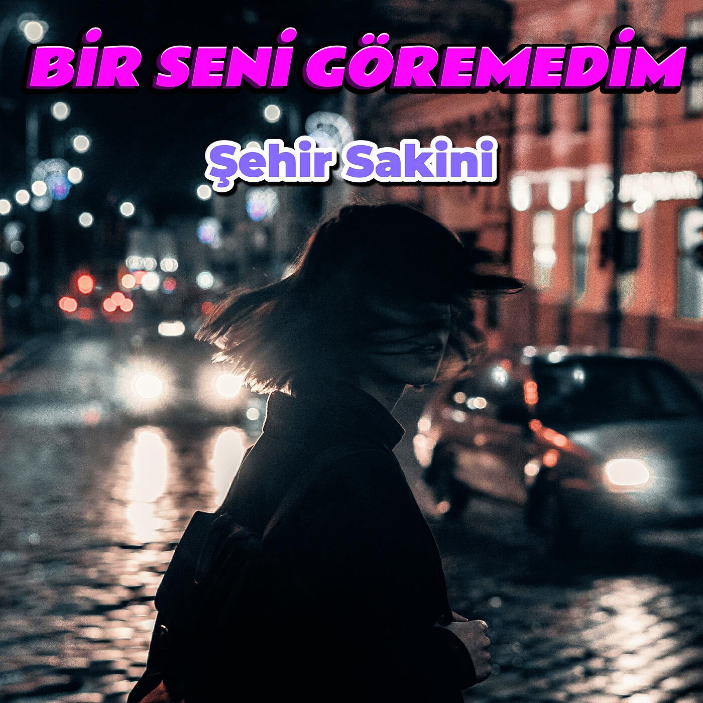 Релиз Bir Seni Göremedim