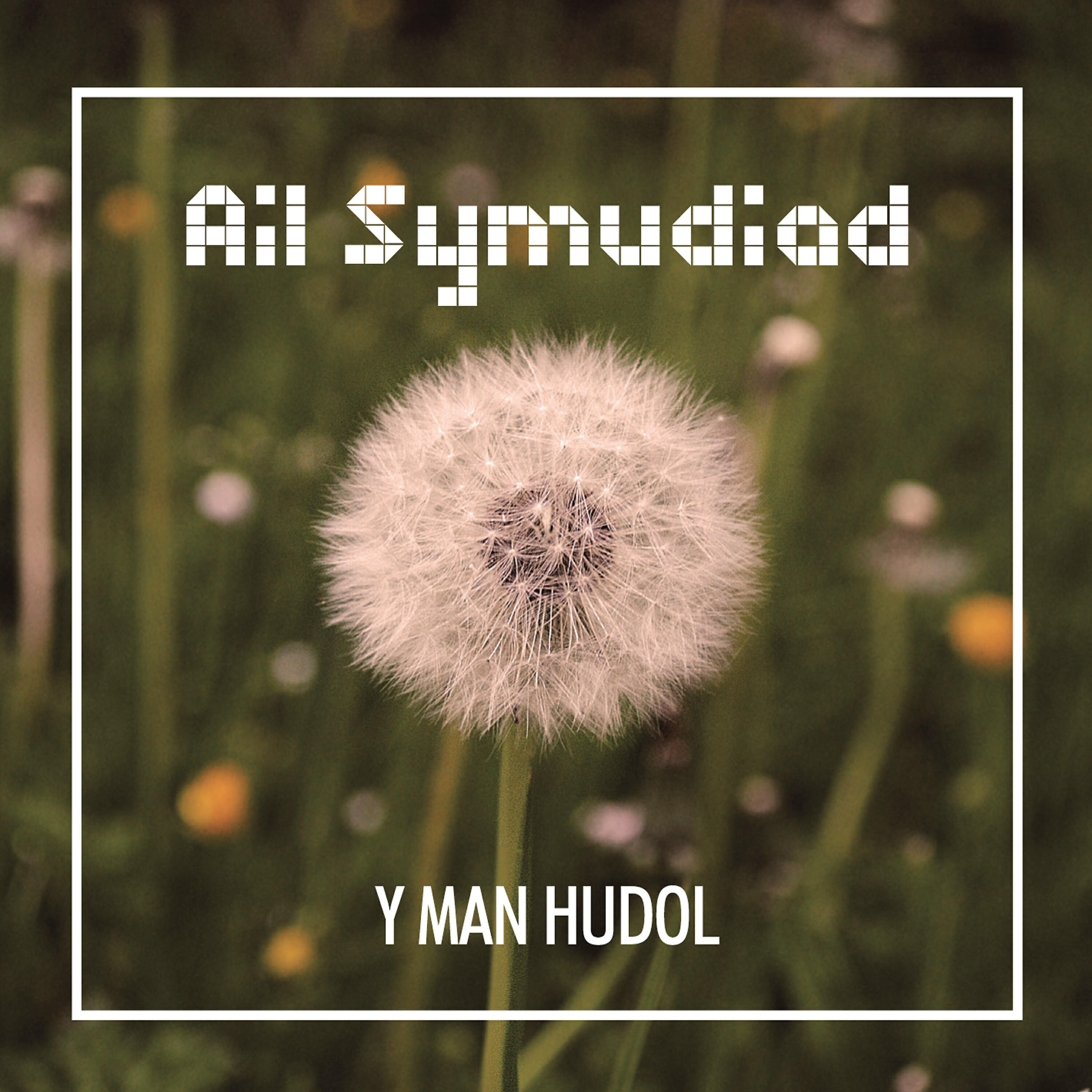 Релиз Y Man Hudol