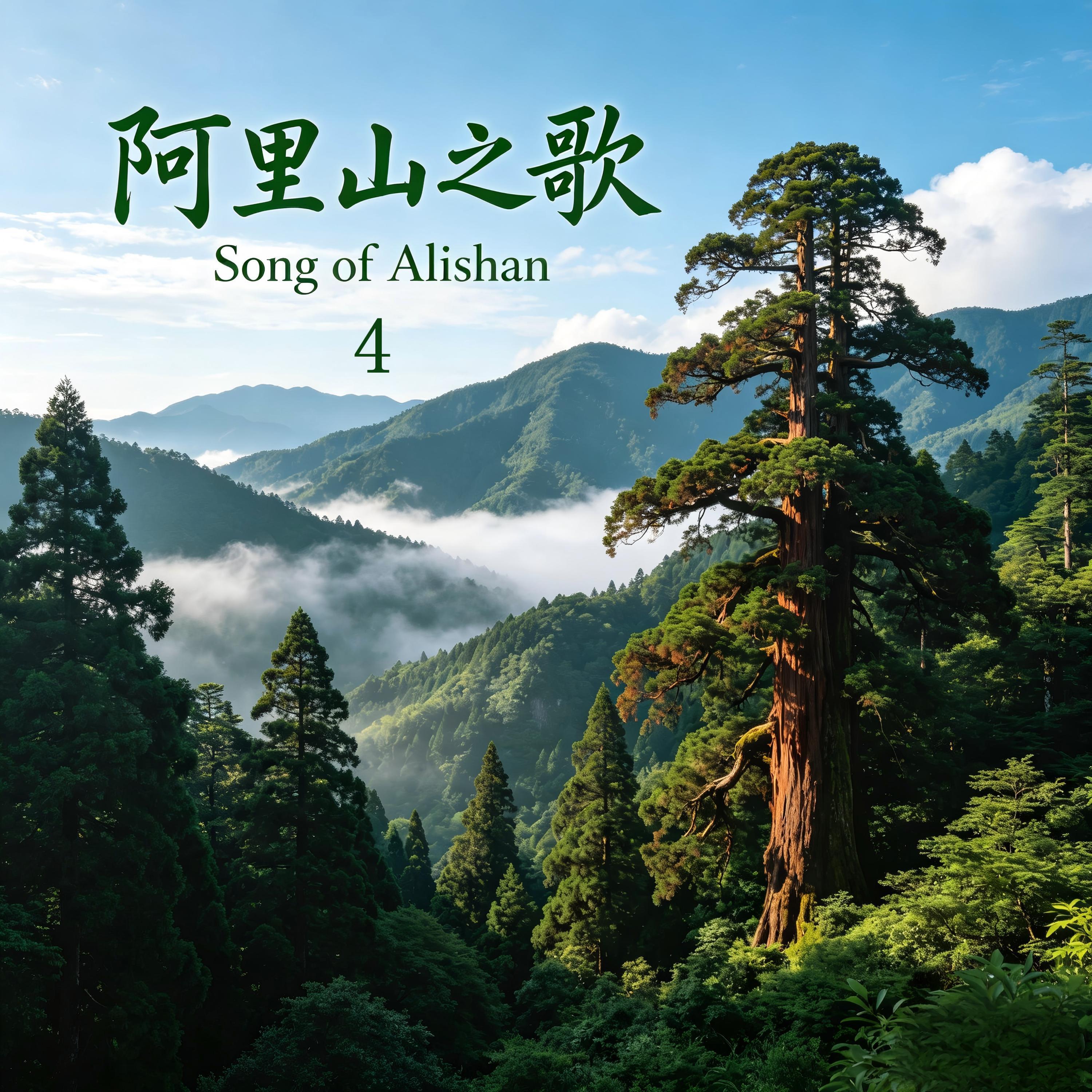 胡少华