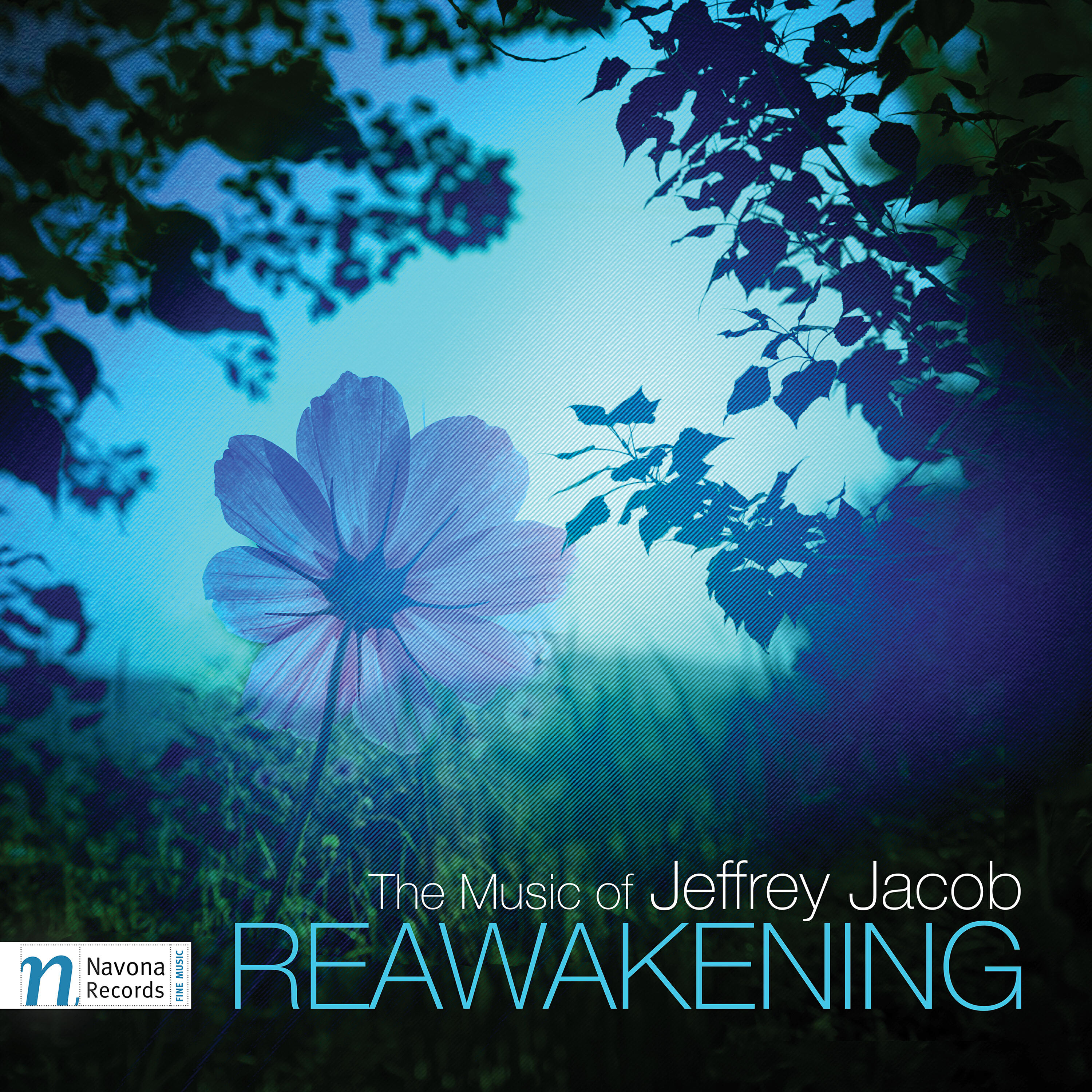 Релиз Jeffrey Jacob: Reawakening